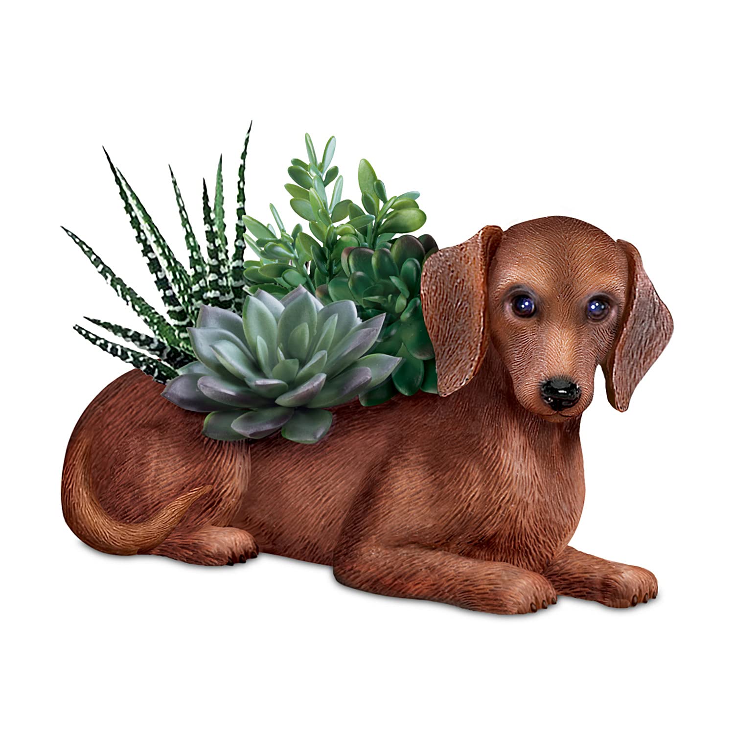 The Bradford Exchange Paw Prints Plant Everlasting Love Natural-Looking Succulents Dachshund Table Centerpiece
