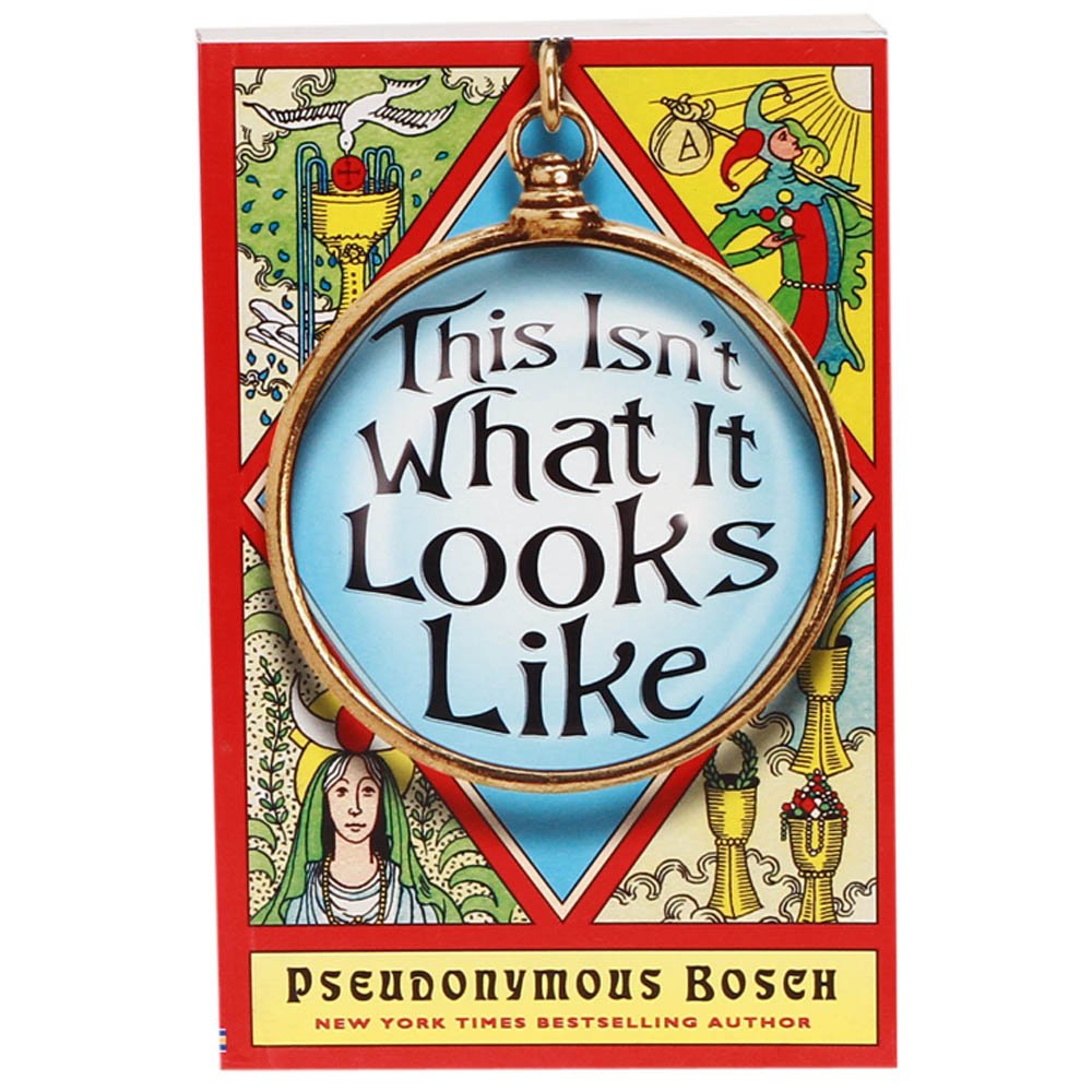 Buy This Isn't What it Looks Like (The Secret Series) — BookShops.in