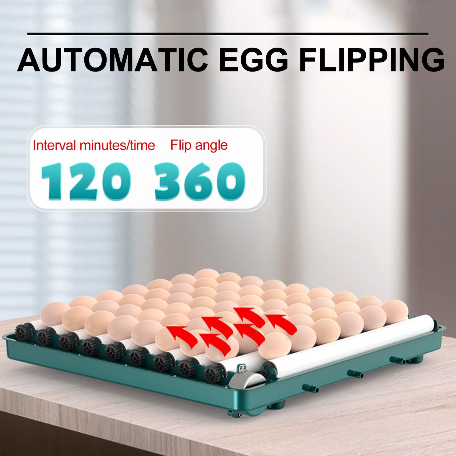 Incubadora de Huevos de Gallina, con Volteador Automático, Ovoscopio y Control de Temperatura, for Incubar Huevos de Gallina, Codorniz(36pieces)