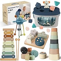 Giochi Bambini 6 Mesi in su,5 in 1 Giochi Montessori,Giochi Sensoriali per Neonati con Tirare la Corda,Giocattolo di Classificazione e Impilamento delle Forme,Xilofono,Regalo Neonato 6 Mesi – 3 Anni