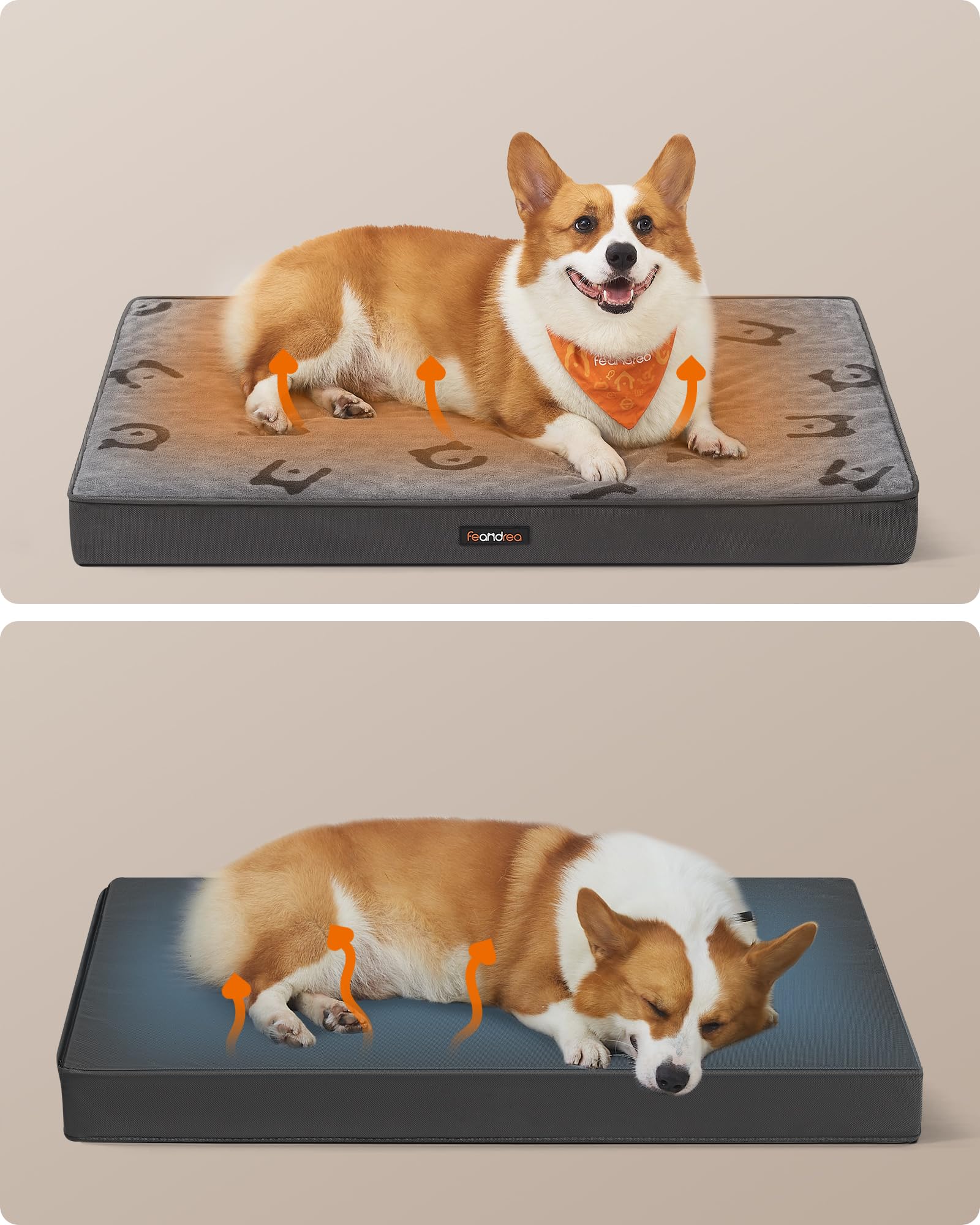 Feandrea Cuccia per Cani, Lettino per Animali, Gommapiuma Preformata Ondulata, con Maniglia, Sfoderabile, Uso a Doppio Lato, Impermeabile, Taglia L, 91 x 68 x 8 cm, Grigio Tortora PGW242G01