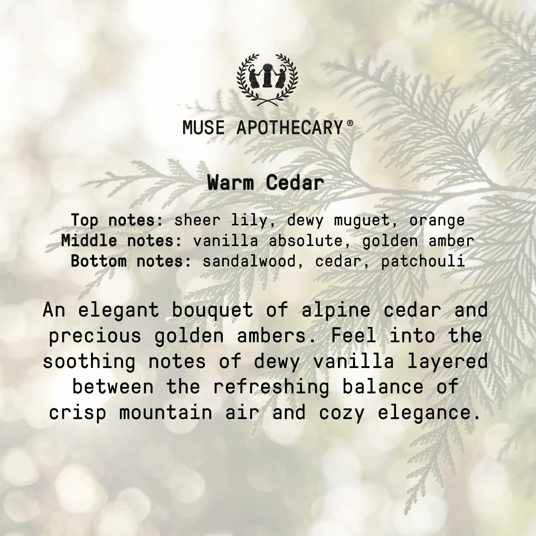Muse Apothecary Handseife, aromatisch und pflegend, Botanische Kollektion, mit natürlichen ätherischen Ölen für Aromatherapie, 473 ml, warme Zeder, 2 Stück