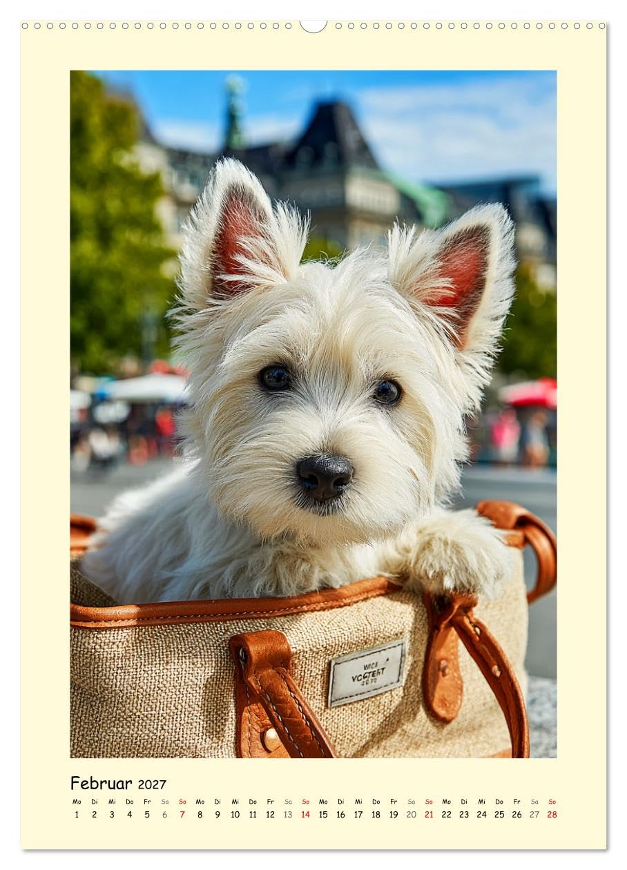 Süßer Wuschelkopf. West Highland White Terrier Momente (Wandkalender 2027 DIN A2 hoch), CALVENDO Monatskalender: Die fröhlichen, mutigen und charmanten Westies in zauberhaften Bildern (CALVENDO Tiere)