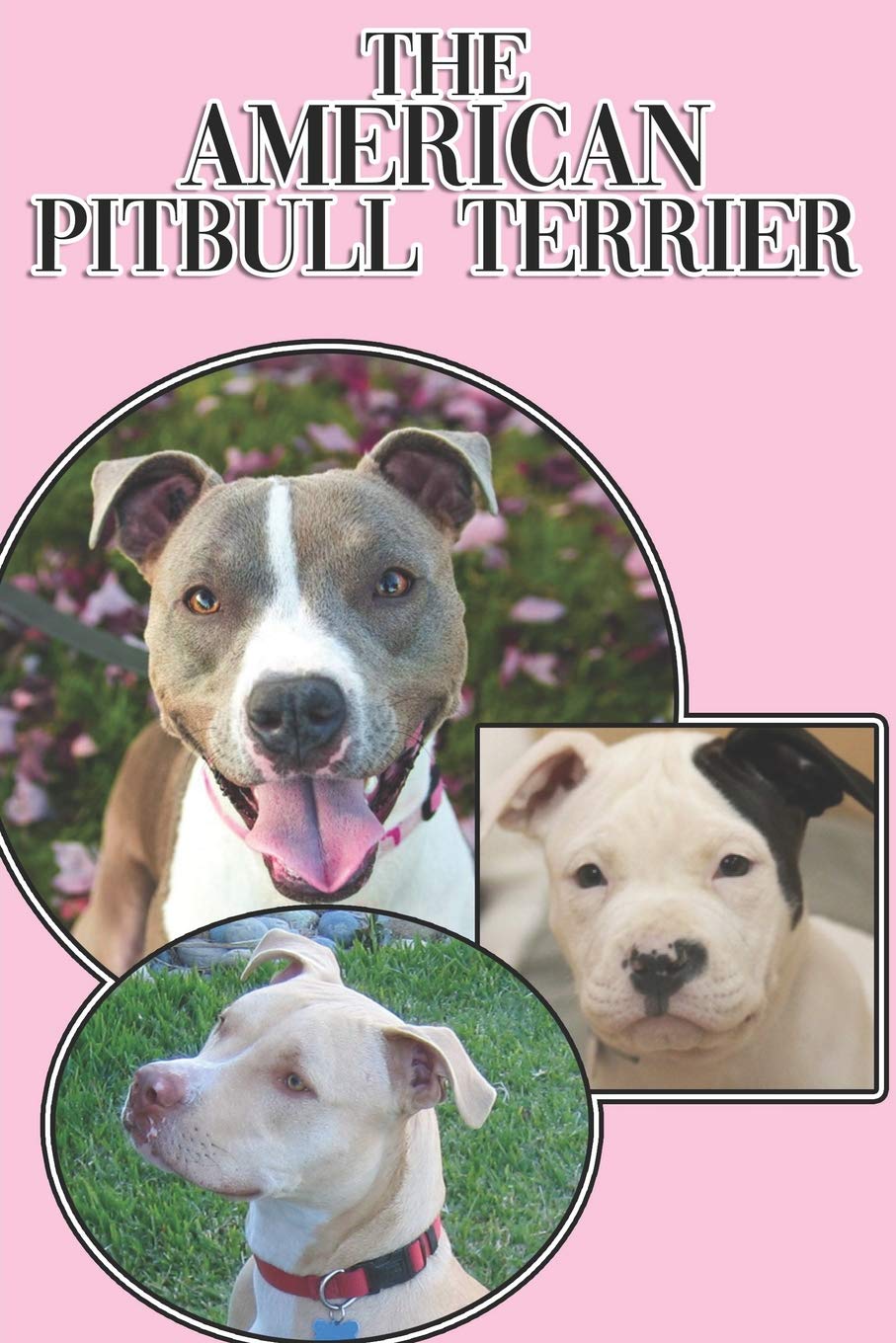 The American Pitbull Terrier: A Complete and Comprehensive Beginners Guide to: Buying, Owning, Health, Grooming, Training, Obedience, Understanding and Caring for Your American Pitbull Terrier