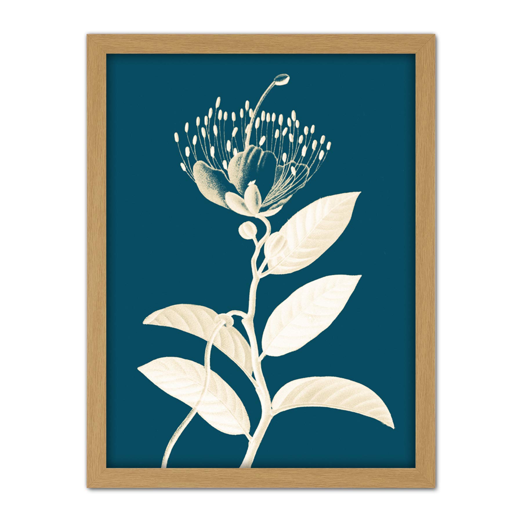 Wee Blue Coo Modern Bold Biodiversity Blue Plant Artwork Framed Wall Art Print 18X24 Inch