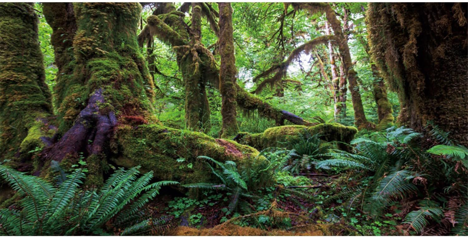 AWERT 36×18 inches Tropical Forest Terrarium Background Green Huge Tree Reptile Habitat Background Rainforest Aquarium Background Durable Polyester Background