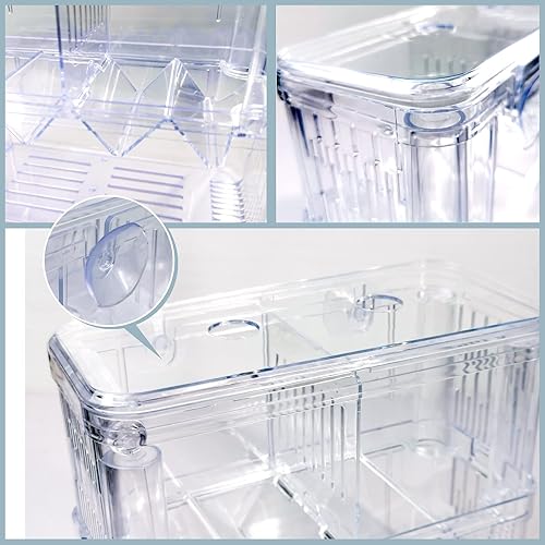 Miniatura 3 de Gittcoll Caja de cría de peces acrílicos de doble capa, tanque de acuario, caja de aislamiento de peces con ventosa para fritas, criadera,