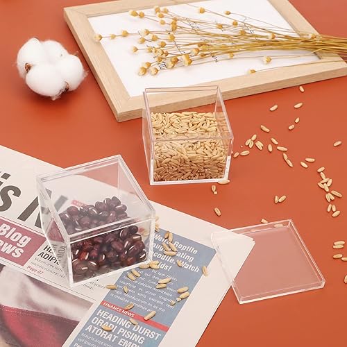 Miniatura 9 de dedoot Caja pequeña de acrílico con tapa de 2.2 x 2.2 x 1.3 pulgadas, paquete de 4 cajas de plástico Suqare cajas de almacenamiento de acrílico,