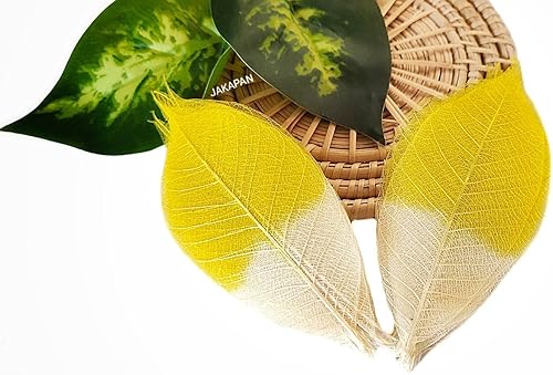 JAKAPAN Hojas de esqueleto decorativas de dos tonos, árbol de goma natural, álbum de recortes, manualidades, tarjeta de boda, hojas pequeñas, uso