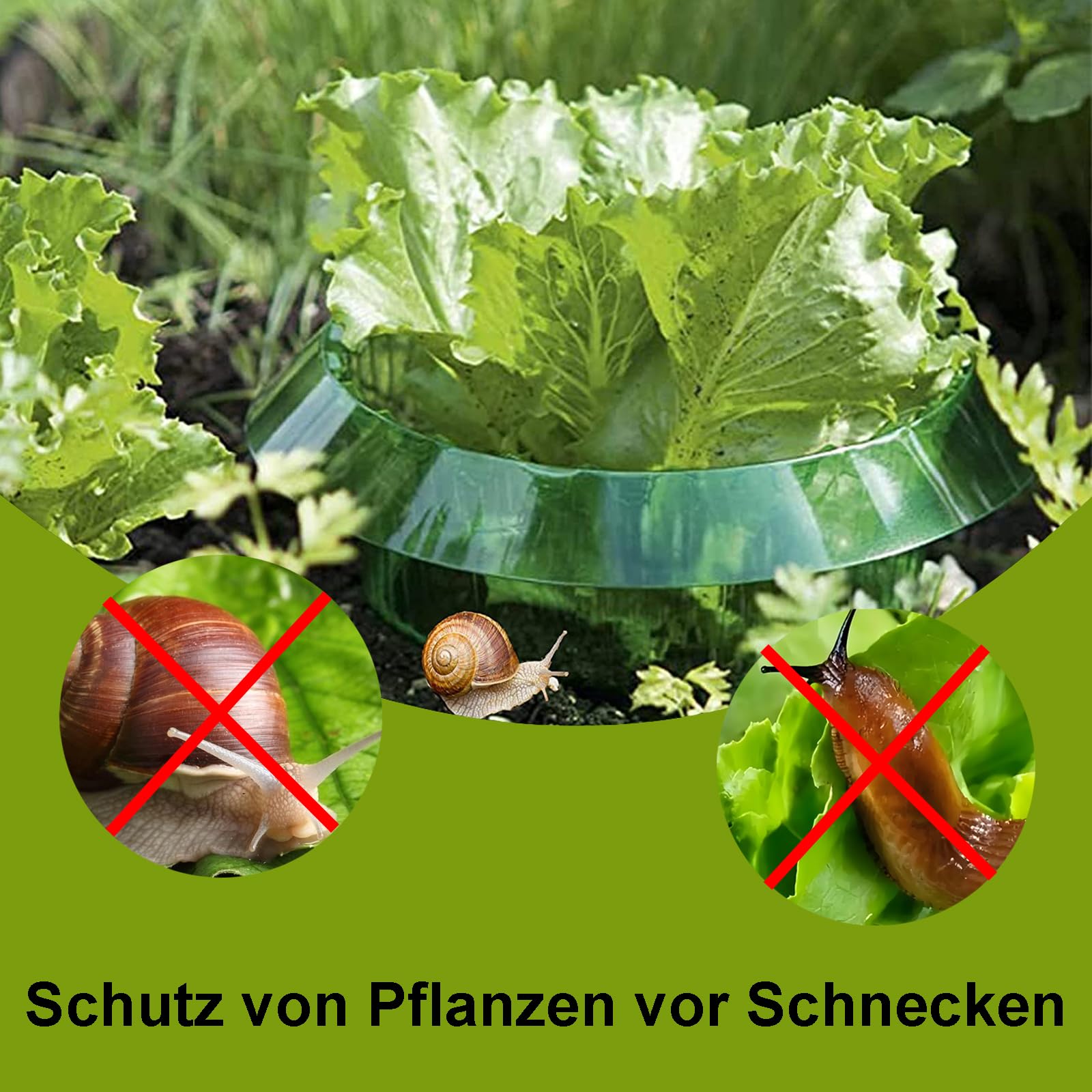 10 Pezzi Collari Anti-Lumache per Orto con Bordo 45° - Anelli Protezione Piante da Insalata, Pomodori e Cavoli, Materiale Resistente UV/Antipioggia, Senza Chimici e Riutilizzabile, Ø24cm