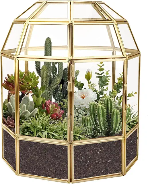 Homtone 18cm Geometric Terrarium Planter - Black Glass Bird Cage for Succulents
