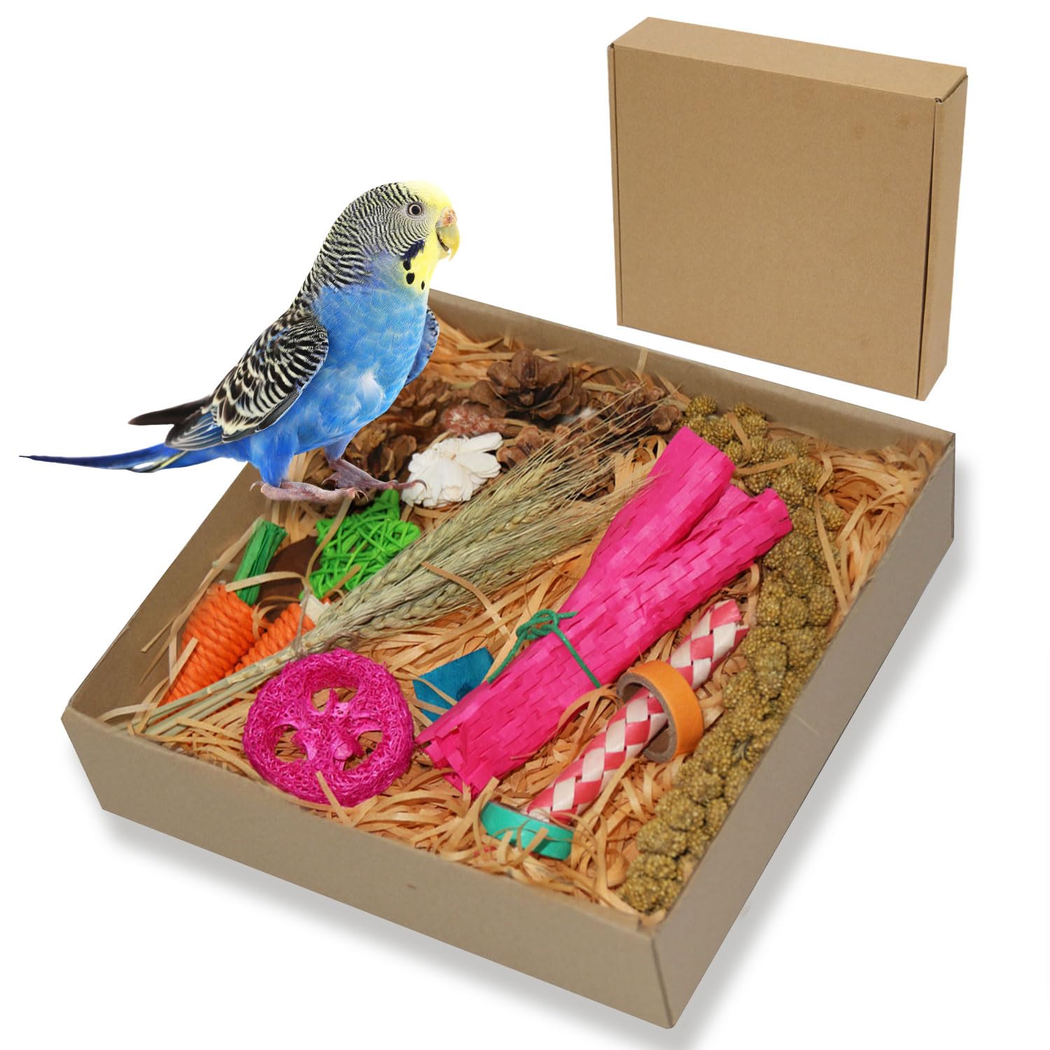 Natural Bird Toy Foraging Parrot Shredding Toys Box - Interactive Shredding & Chewing Toys for Parrots, Conures, Budgies, Lovebirds, Small to Medium Birds