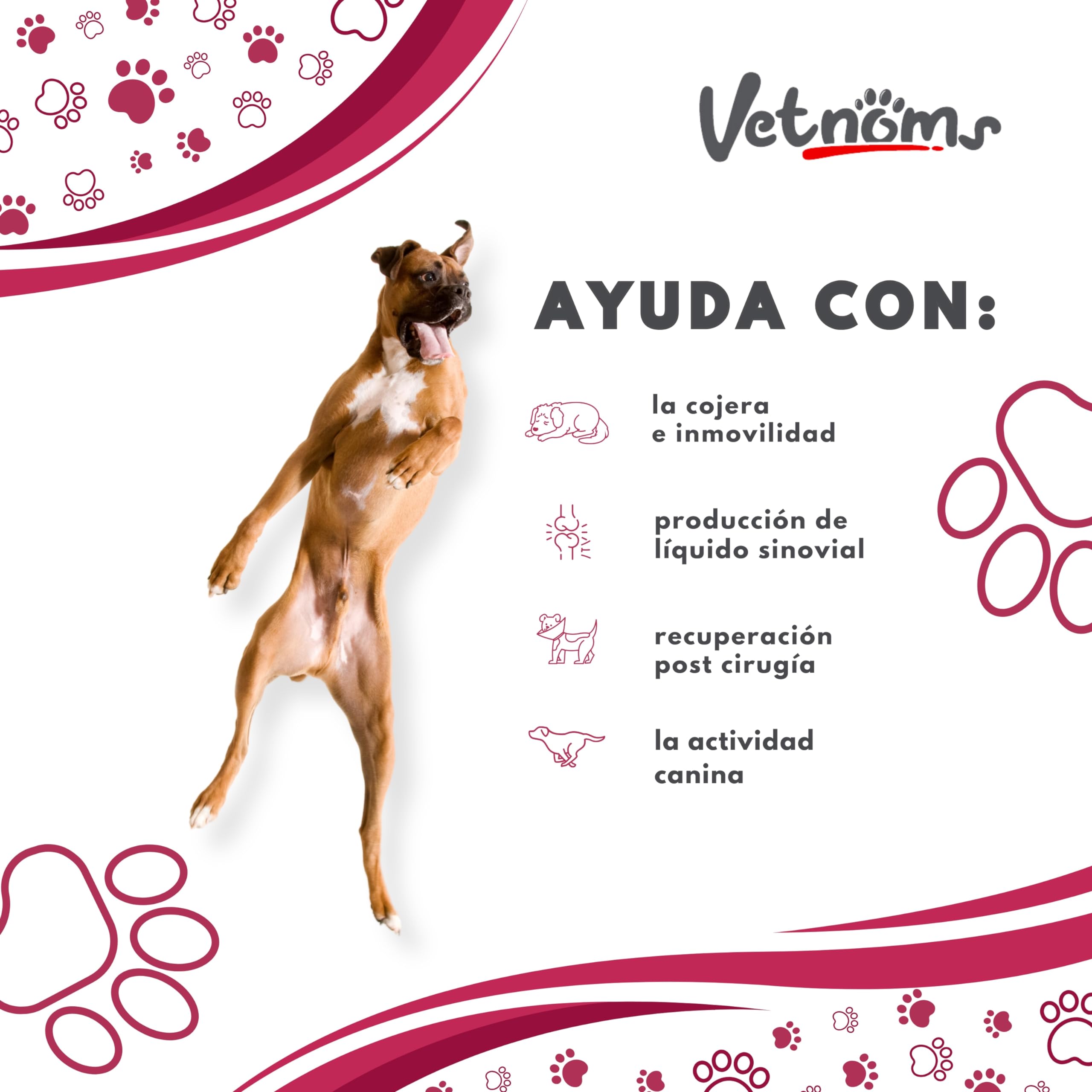 Condroprotector Perros con Msm - Antiinflamatorio Perros, Glucosamina Condroitina Perros. Condoprotectores Perros Grandes. Fortalece Articulaciones Perro. Condoprotectores Perros.