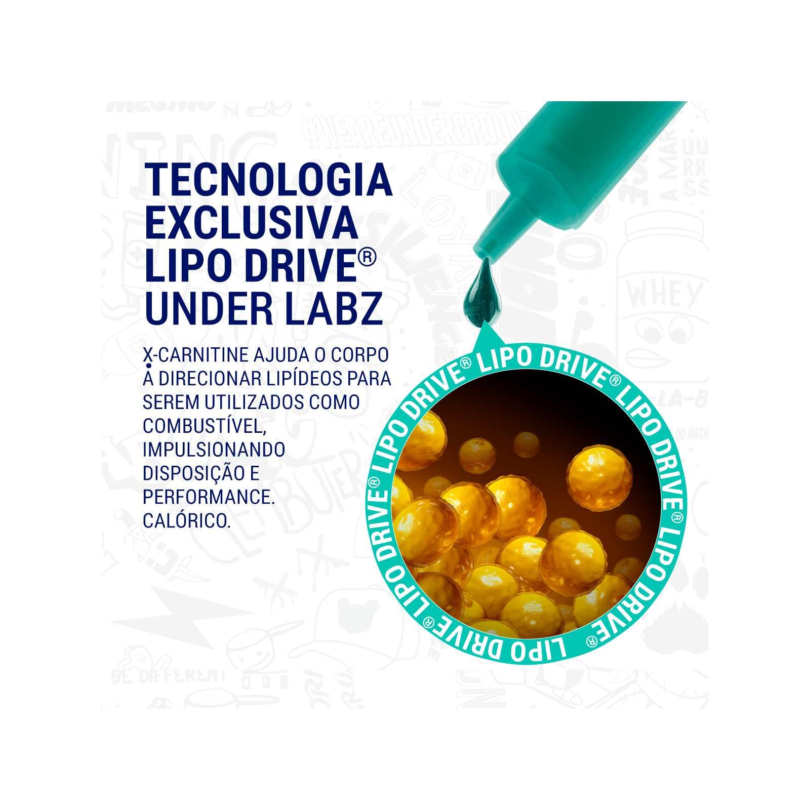 l carnitine transport fatty acids into mitochondria role The Role of l-Carnitine in Mitochondria, Prevention of Metabolic  Inflexibility and Disease Initiation