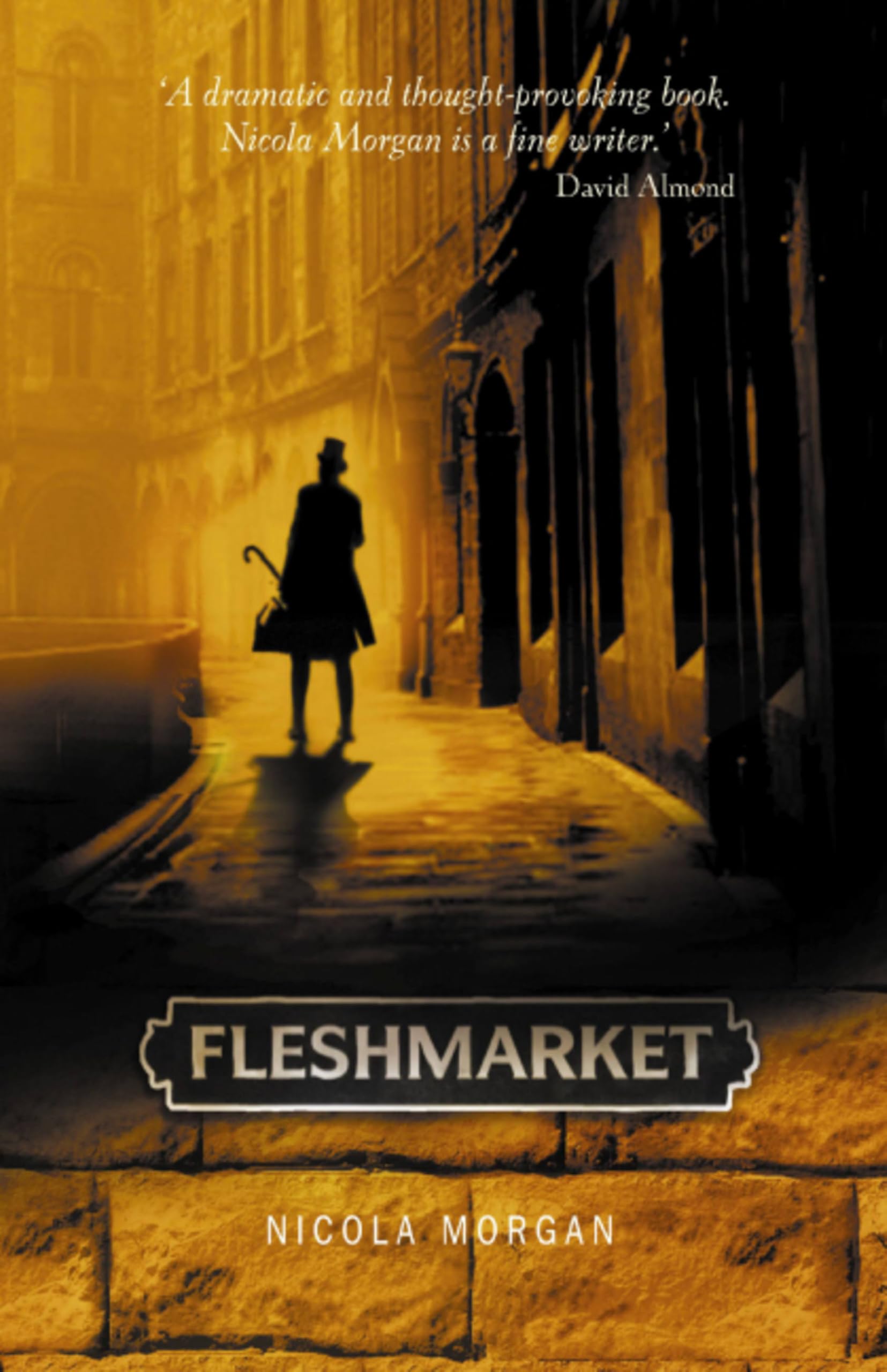 Fleshmarket by Nicola Morgan PAPERBACK 9780340855577