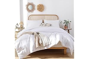 ROSGONIA Queen Thin Lightweight Comforter Set