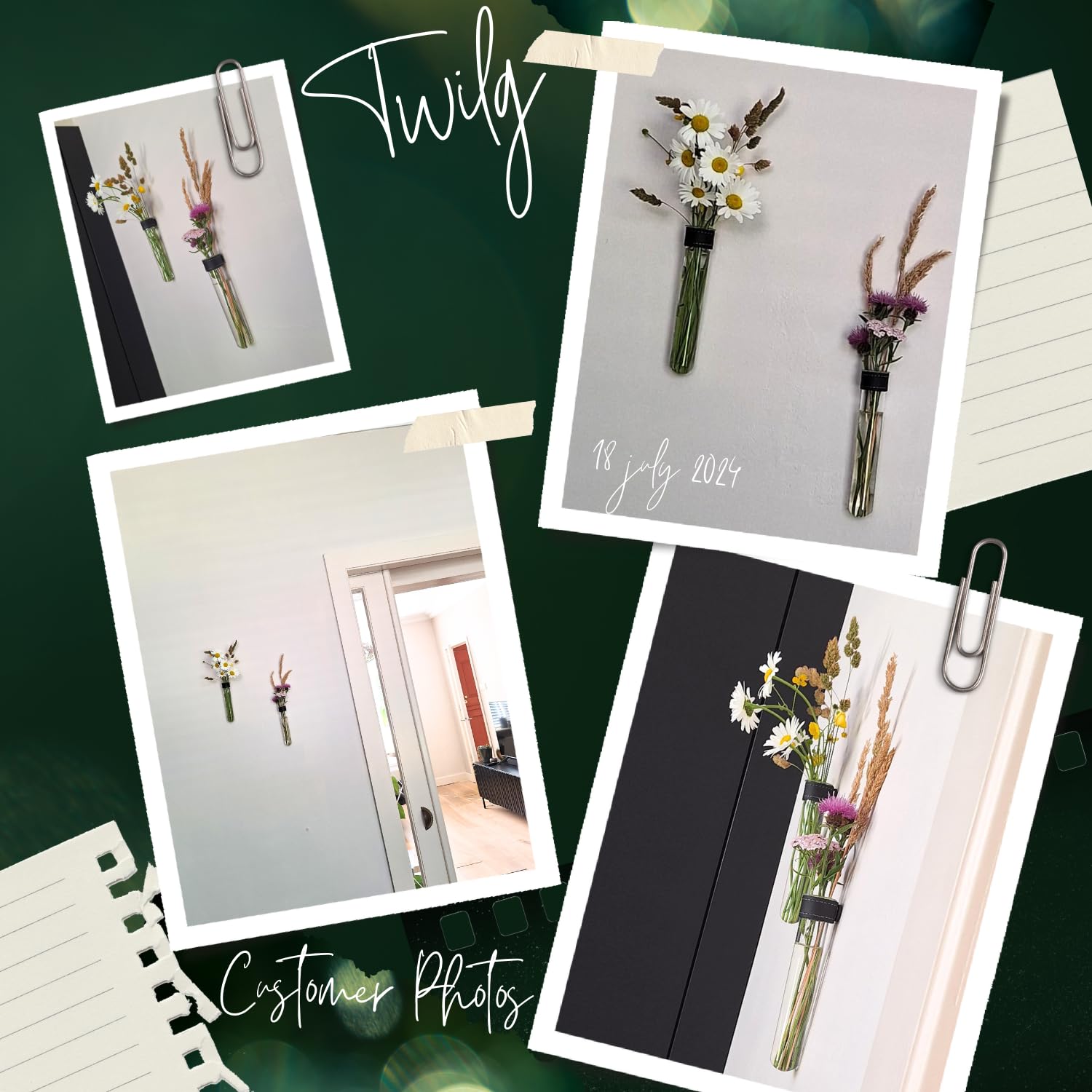 Amazon.com: TWILG Magnetic Wall Hanging Plant Propagation