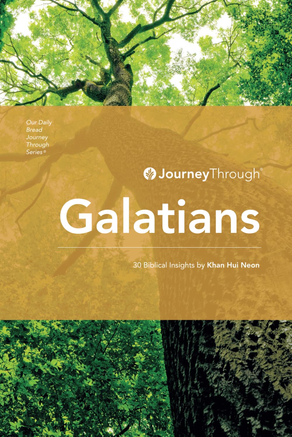 Journey Through Galatians: 30 Biblical Insights By Khan Hui Neon (Journey Through Series: Pauline Epistles)