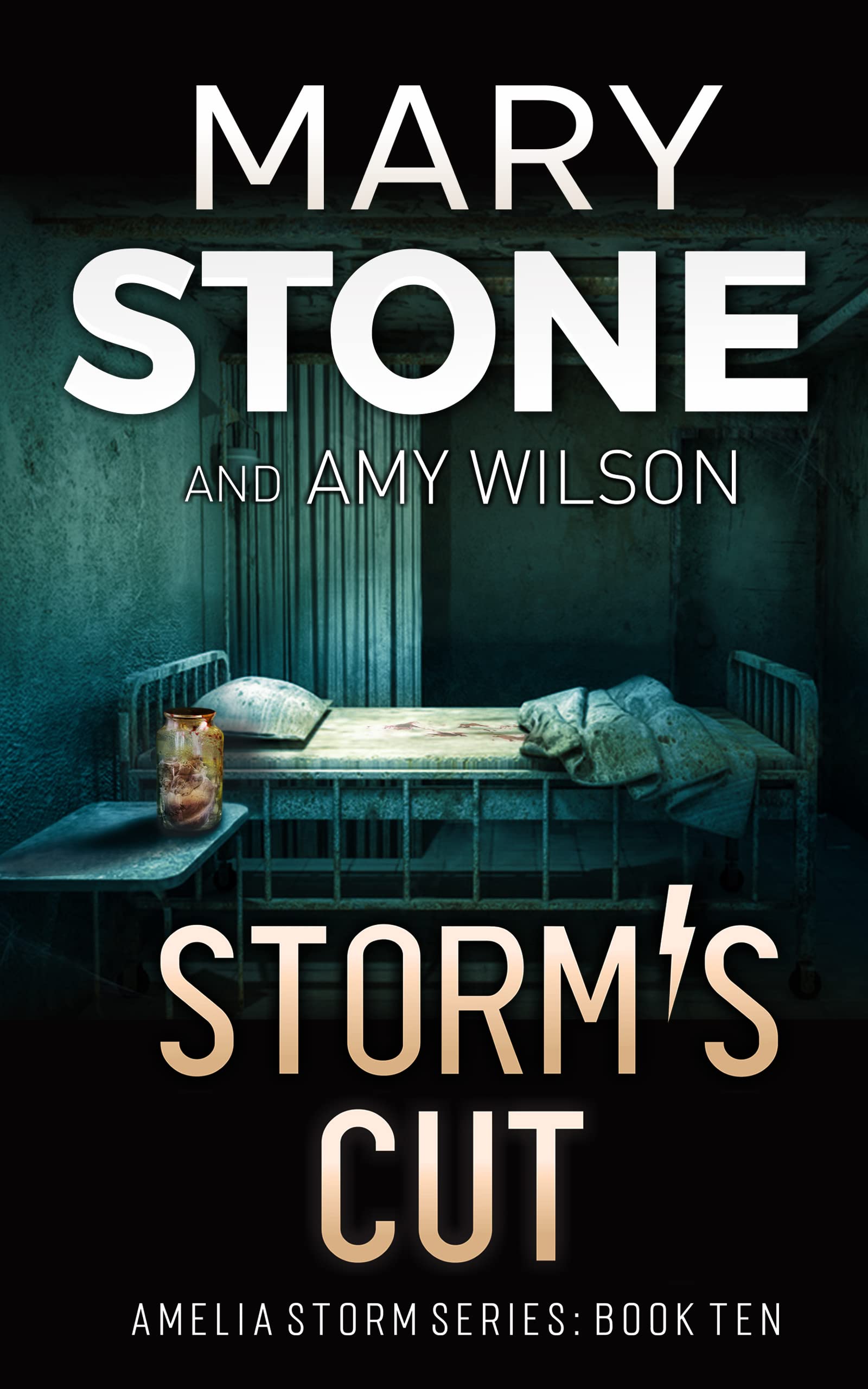 Storm's Cut (Amelia Storm FBI Mystery Series Book 10)