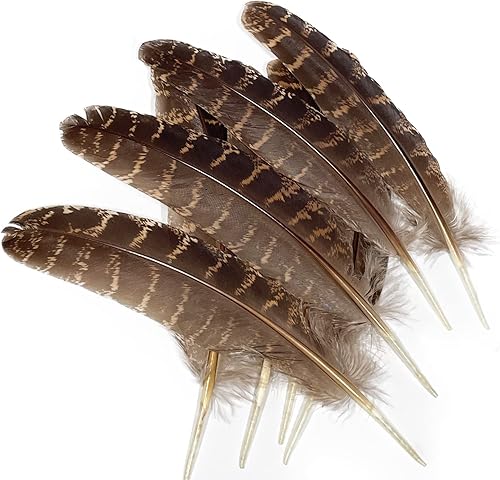 Zamplinka Plumas naturales de pavo de 5 a 7 pulgadas para manualidades de fiesta, decoración de bricolaje por paquete de 10 disponible en Yaxa Peru