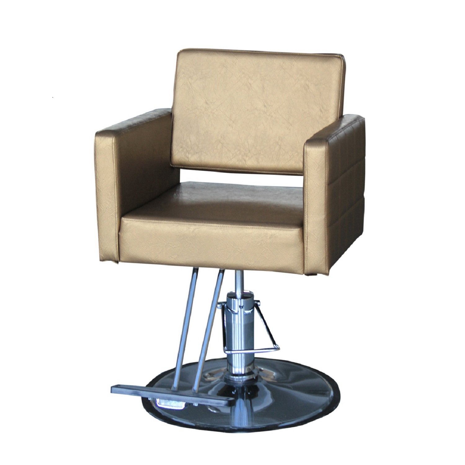 Danyel Beauty Golden color Hydraulic Styling Barber Chair Hair Spa Beauty Salon Equipment : Beauty & Personal Care