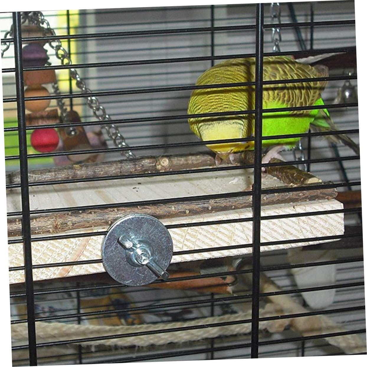 DOITOOL 2piezas Tablero De Salto De Madera para Aves De Caja De Alimentación y Juguete para Periquitos y Loros para Ejercicio y Coordinación El Hogar o Tienda De Mascotas