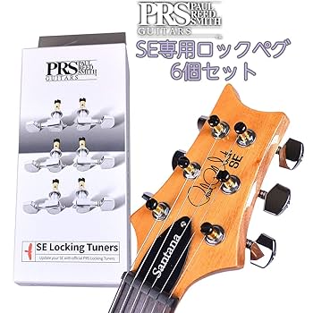ジョン　PRS SE Orianthisignature PRS SE Orianthi 2012 - 2013 | Reverb