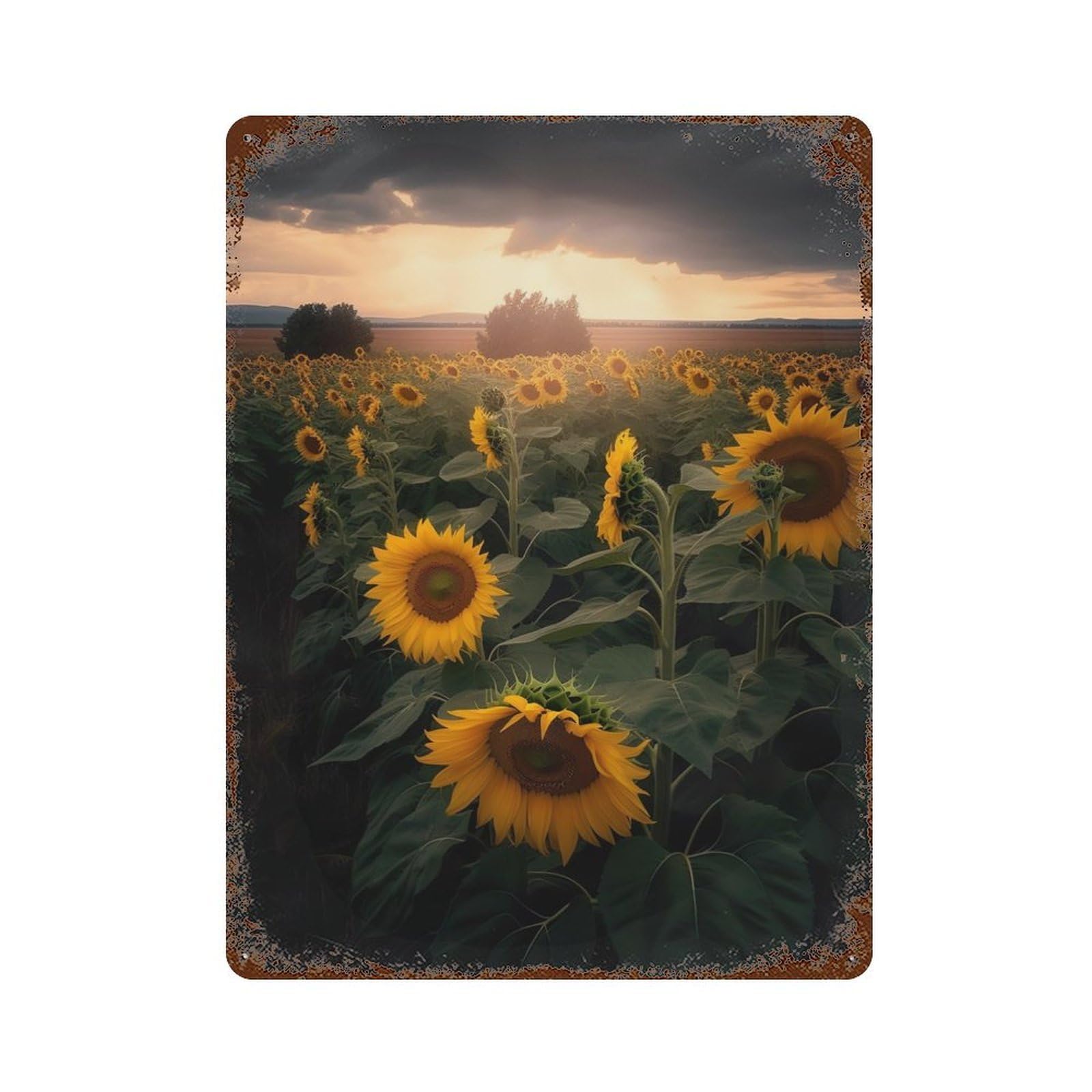 Garage Style Sunflower Field Grey Cloud Aged Metal Wall Plaque 15.7"x11.8", Farmhouse Wall Decor for Bar And Workshop