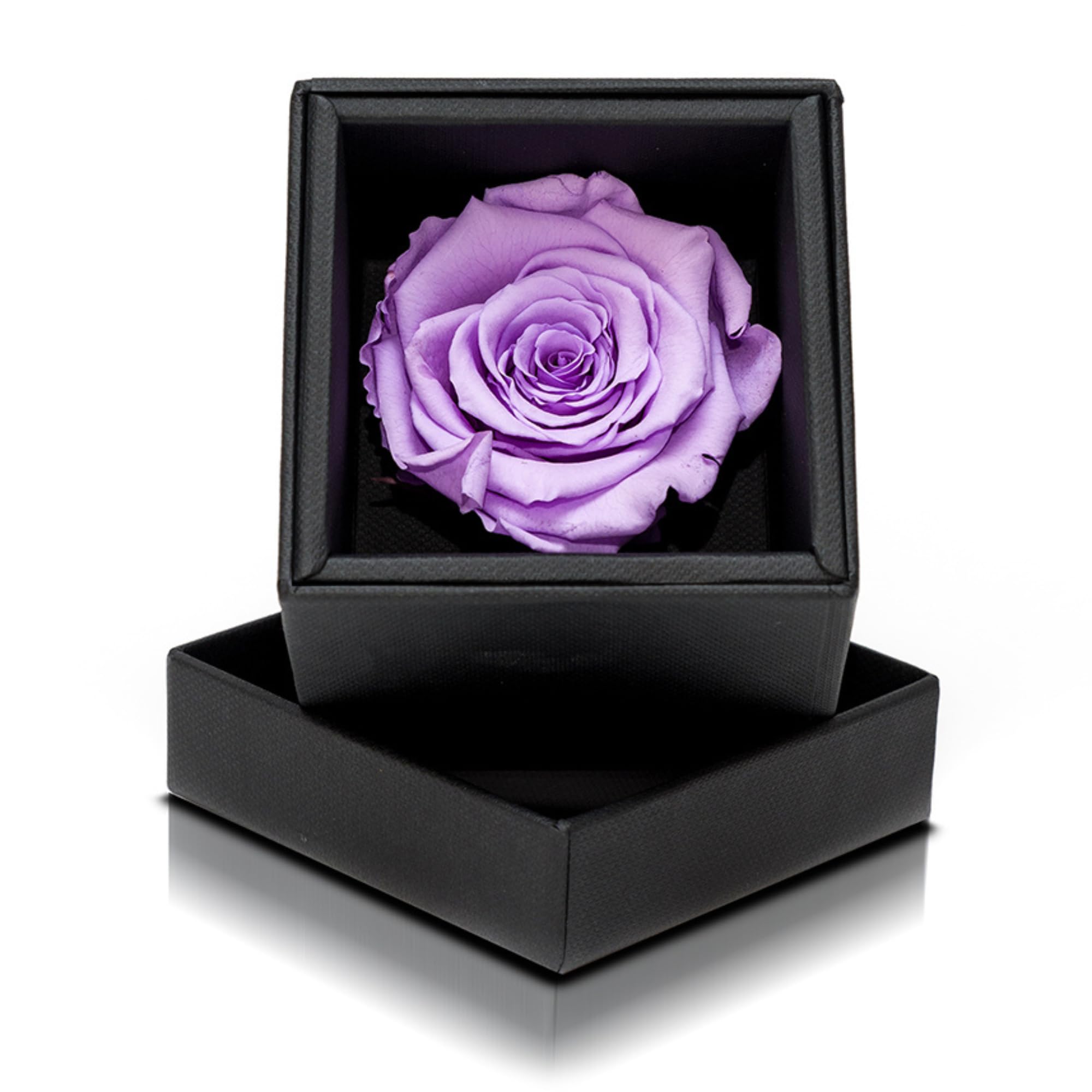Aluisi Fiori Rosa Stabilizzata Viola in Cofanetto Nero - Rosa Stabilizzata Vera - Rosa Eterna - Fiore Stabilizzato - Fiori Stabilizzati - Simbolo di Interiorità e Unione degli Opposti - Idea Regalo