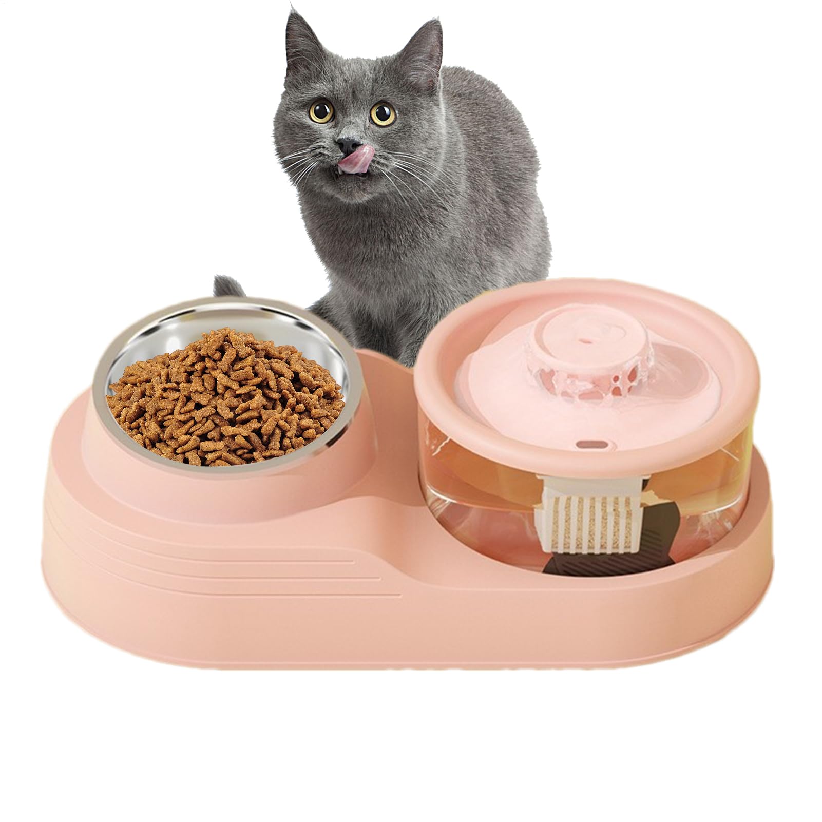Dispensateur de l'eau de chat pour lui prouver votre amour