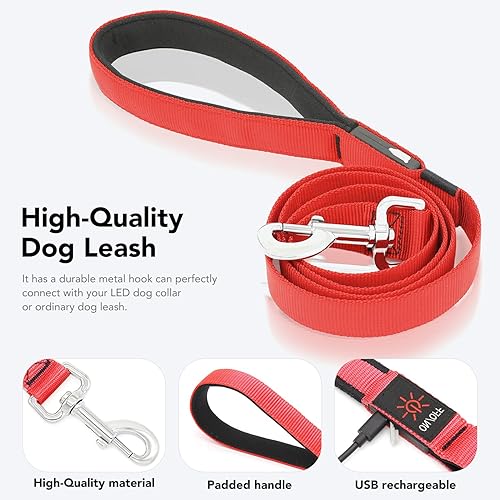 Miniatura 2 de Colaseeme Correa LED para perro, correa para perro iluminada, correa de nailon recargable micro USB, correa de nailon brillante estándar de