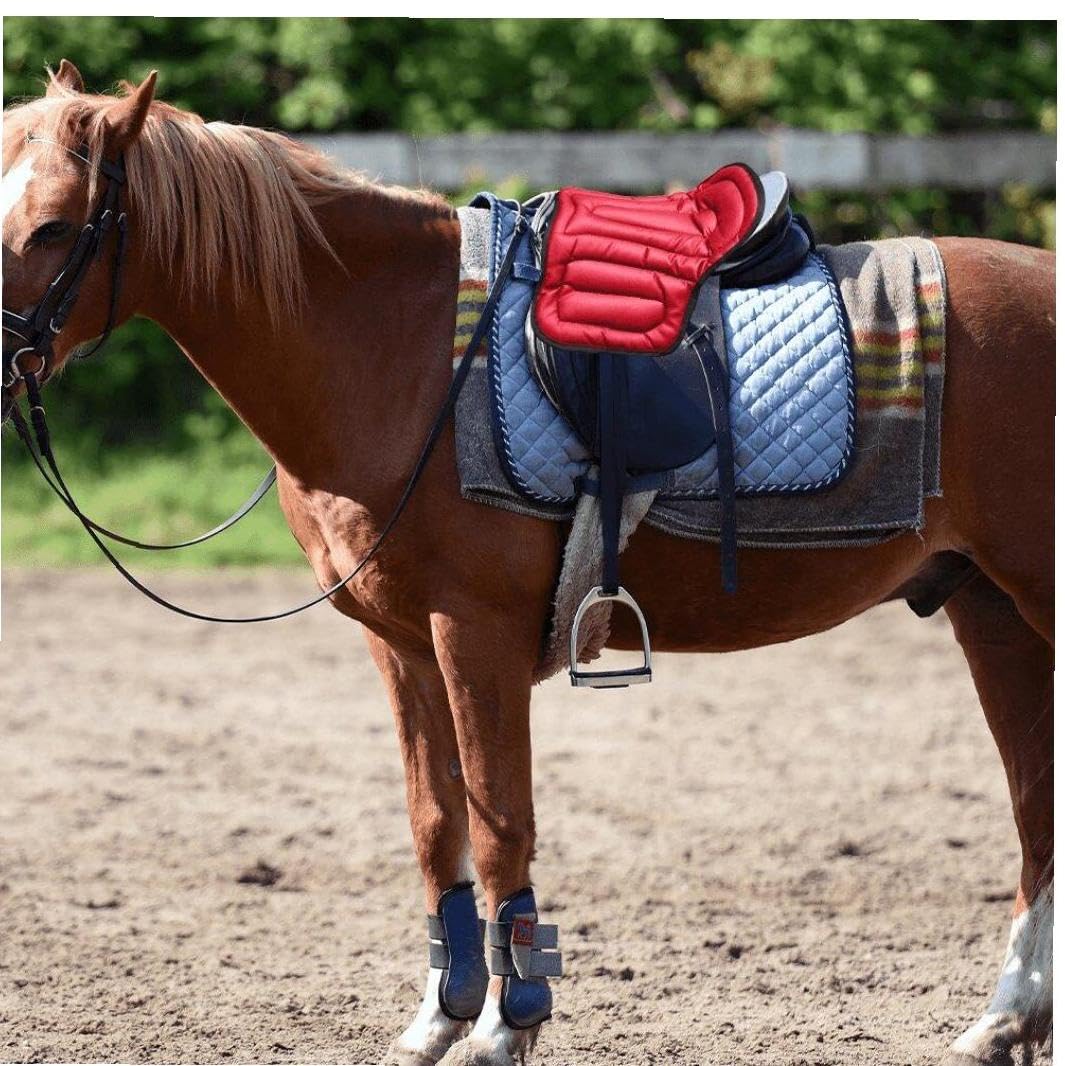 Amazon.co.jp: SAEYZ 乗馬鞍クッション軟馬術座布団乗馬設備総合pu鞍