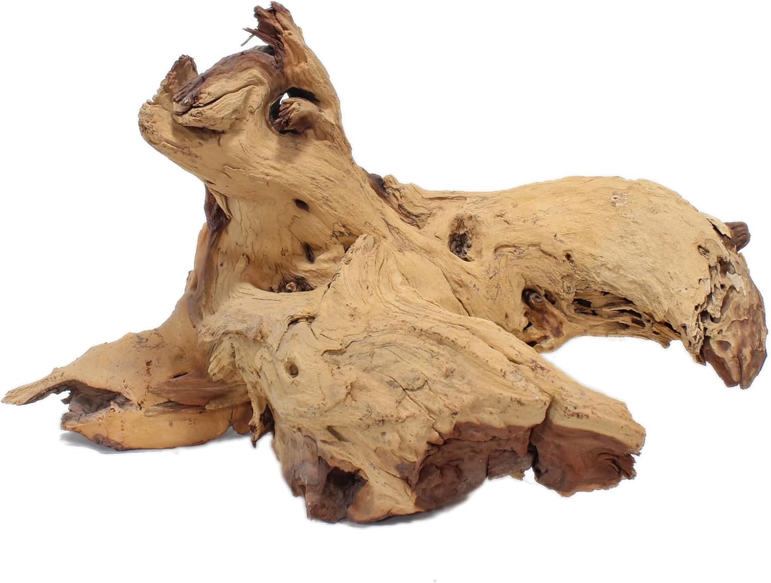 Driftwood: Extra Large 15 Pounds G3744