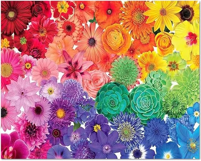 Painting by Numbers for Adults, DIY Paint by Numbers Rainbow Flower, Succulent Plants Paint by Numbers Kits with Brushes and Acrylic Pigment, 16x20 Inch Paint by Numbers for Home Decor Without Frame