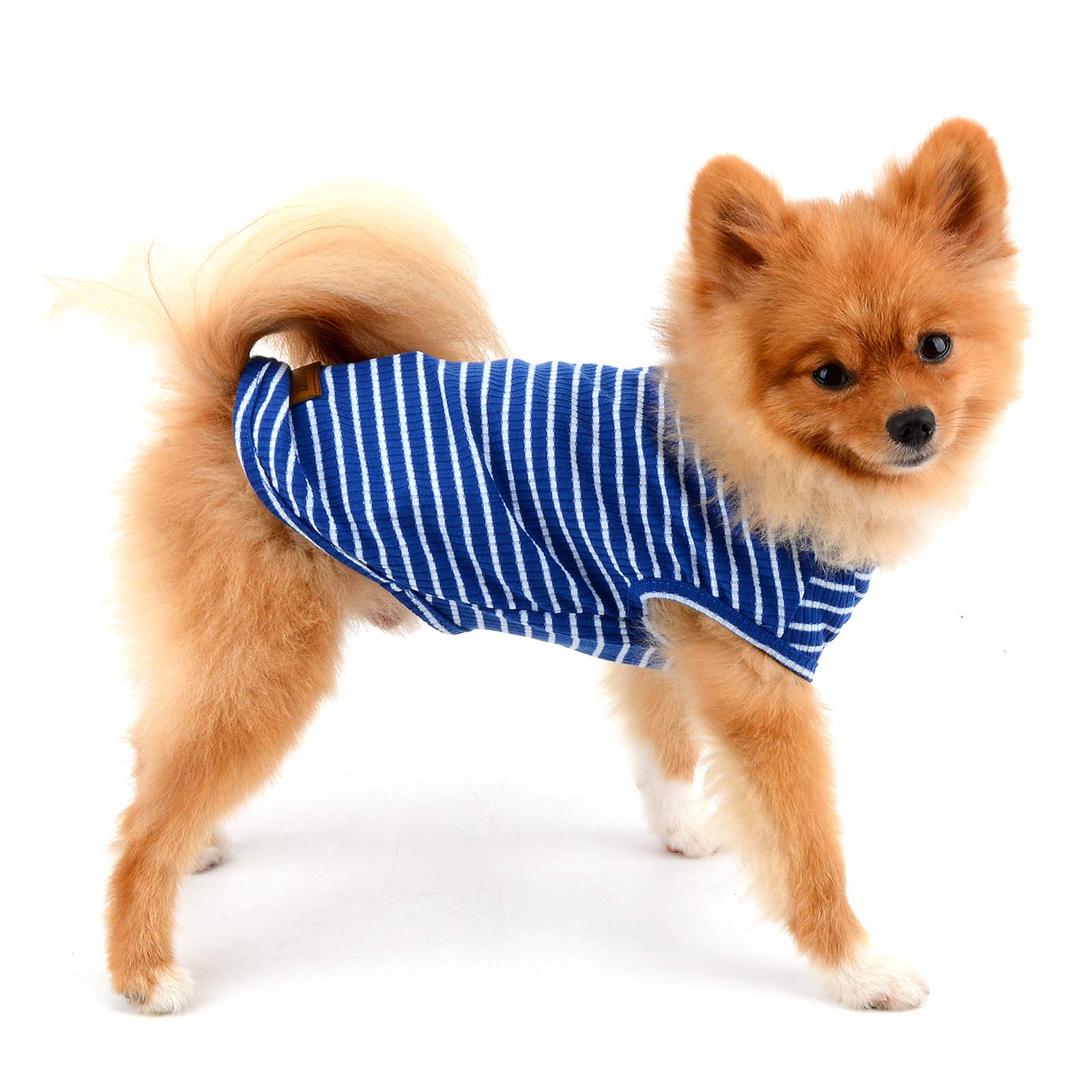 PAIDEFUL Vêtements pour Petits Chiens Garçon Fille été rayé Chiot t-Shirt Gilet Respirant Coton t-Shirt sans Manches Chihuahua Yorkshire Bleu M