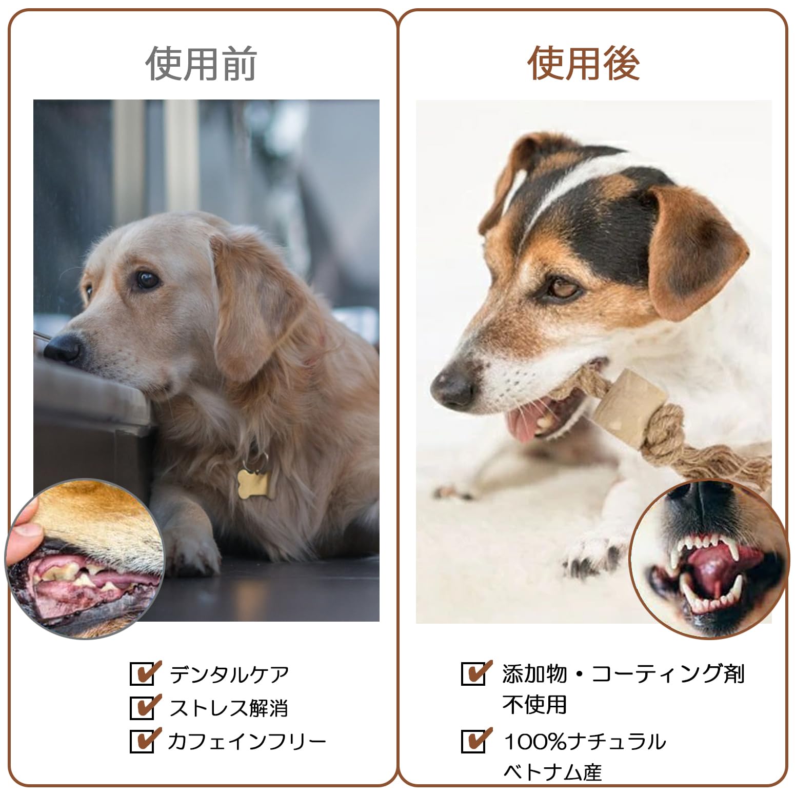 Amazon | BETO PET 犬噛むおもちゃ ロープ付きコーヒー木 知育玩具