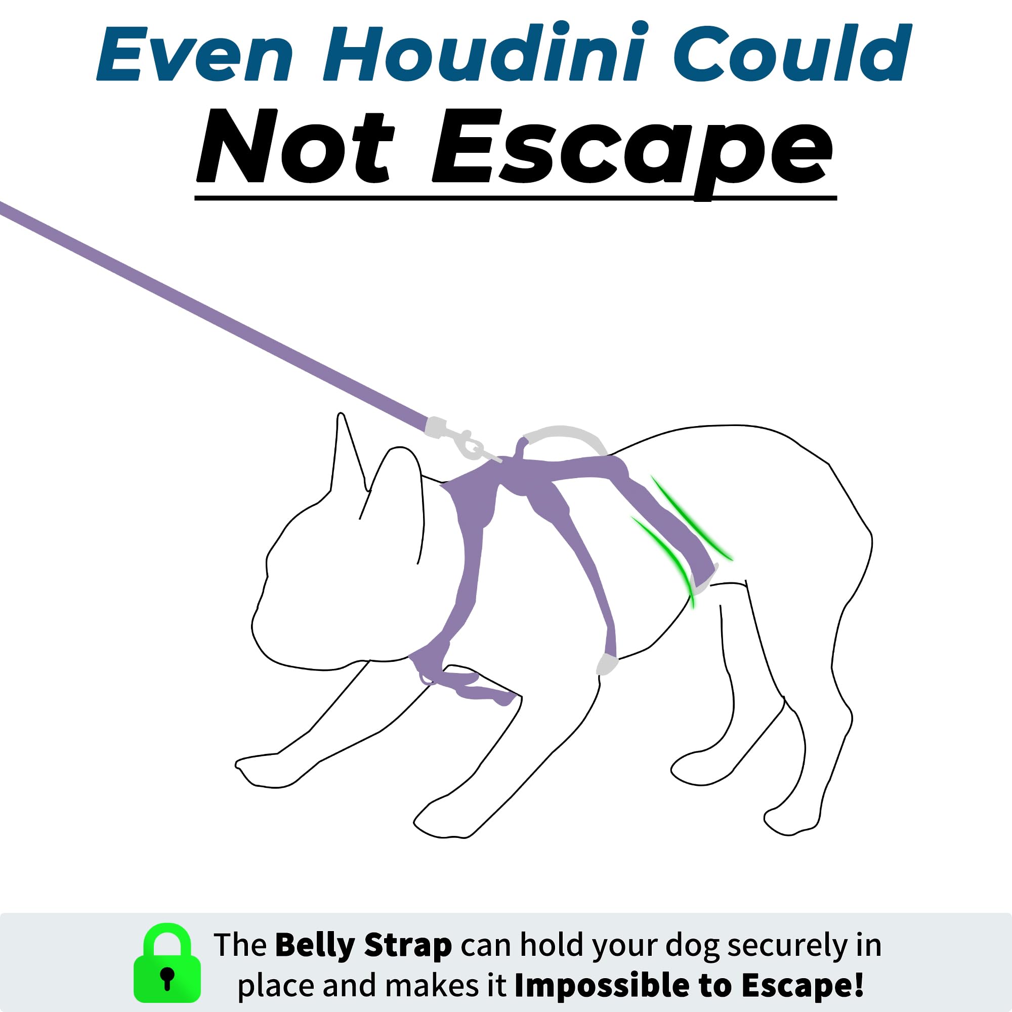 Wuffley Escape Proof Dog Harness and Leash Set, Lightweight Dog Harness with Lift and Assist Handle - Image 3