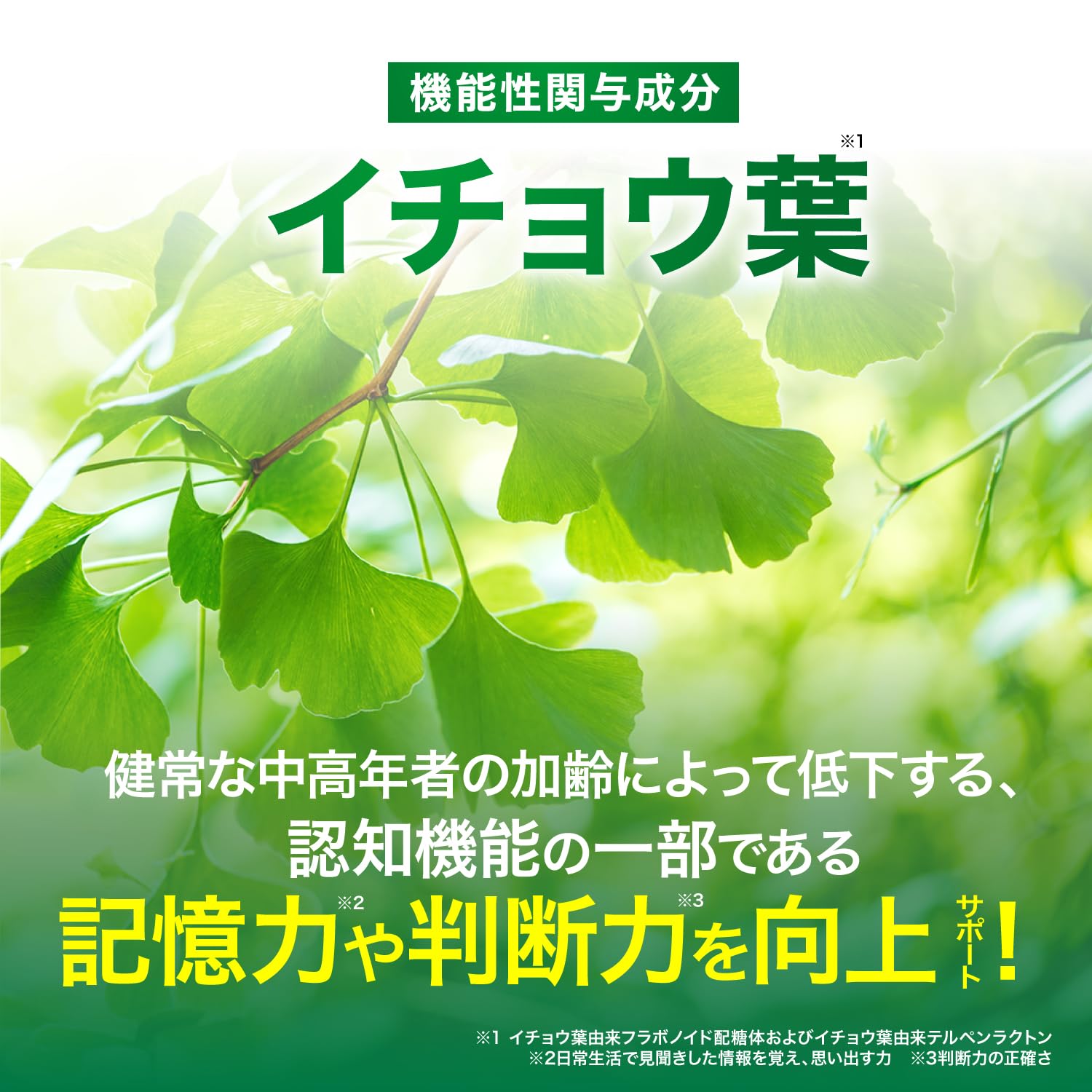Amazon | 【国際中医師監修】乳酸菌&イチョウ葉の恵み 機能性表示食品