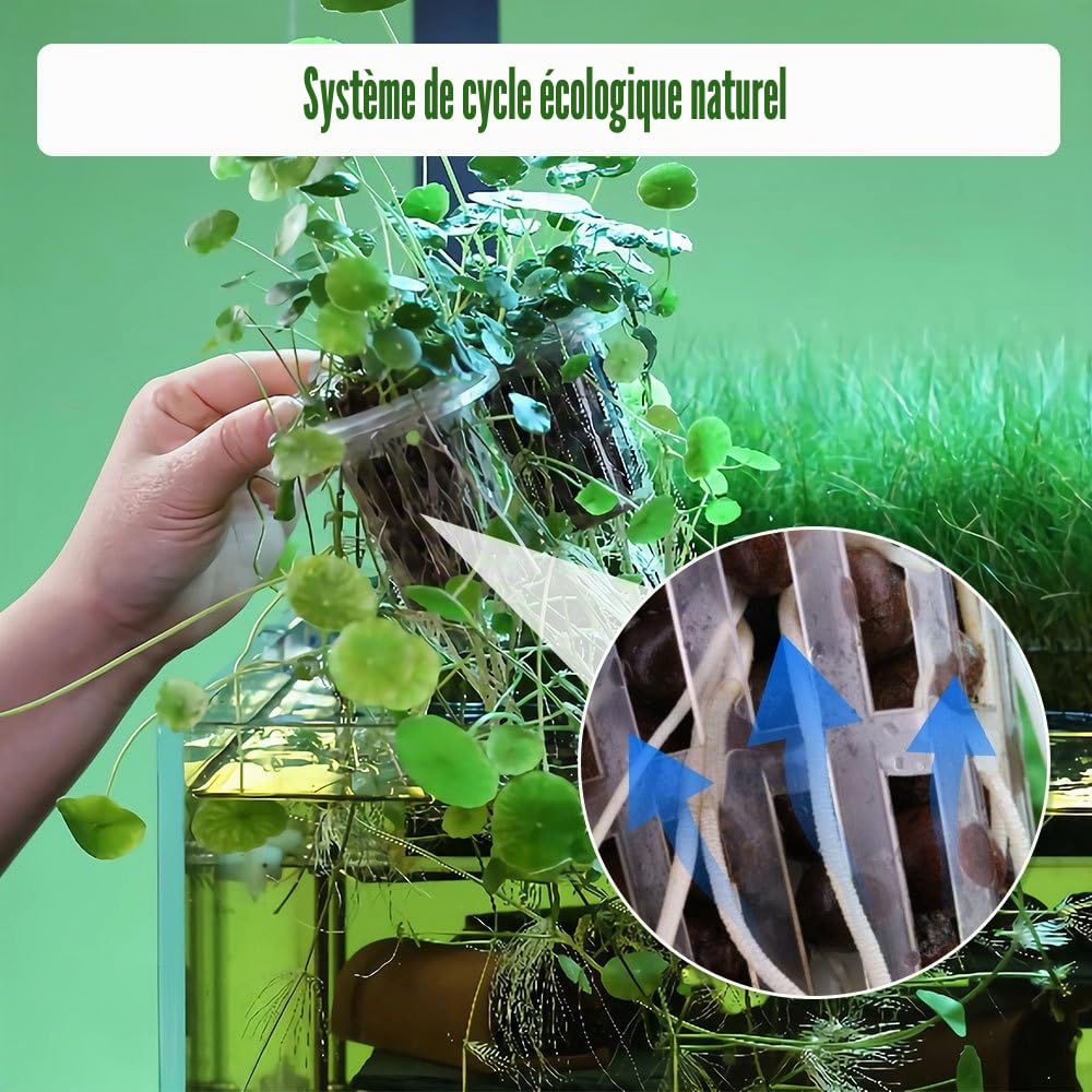DONGKER Support pour Plantes D'aquarium,Support de Pothos Suspendu pour Aquarium,Plage Réglable en Hauteur de 5 cm pour Une Épaisseur de Paroi D'aquarium Jusqu'à 1,5cm
