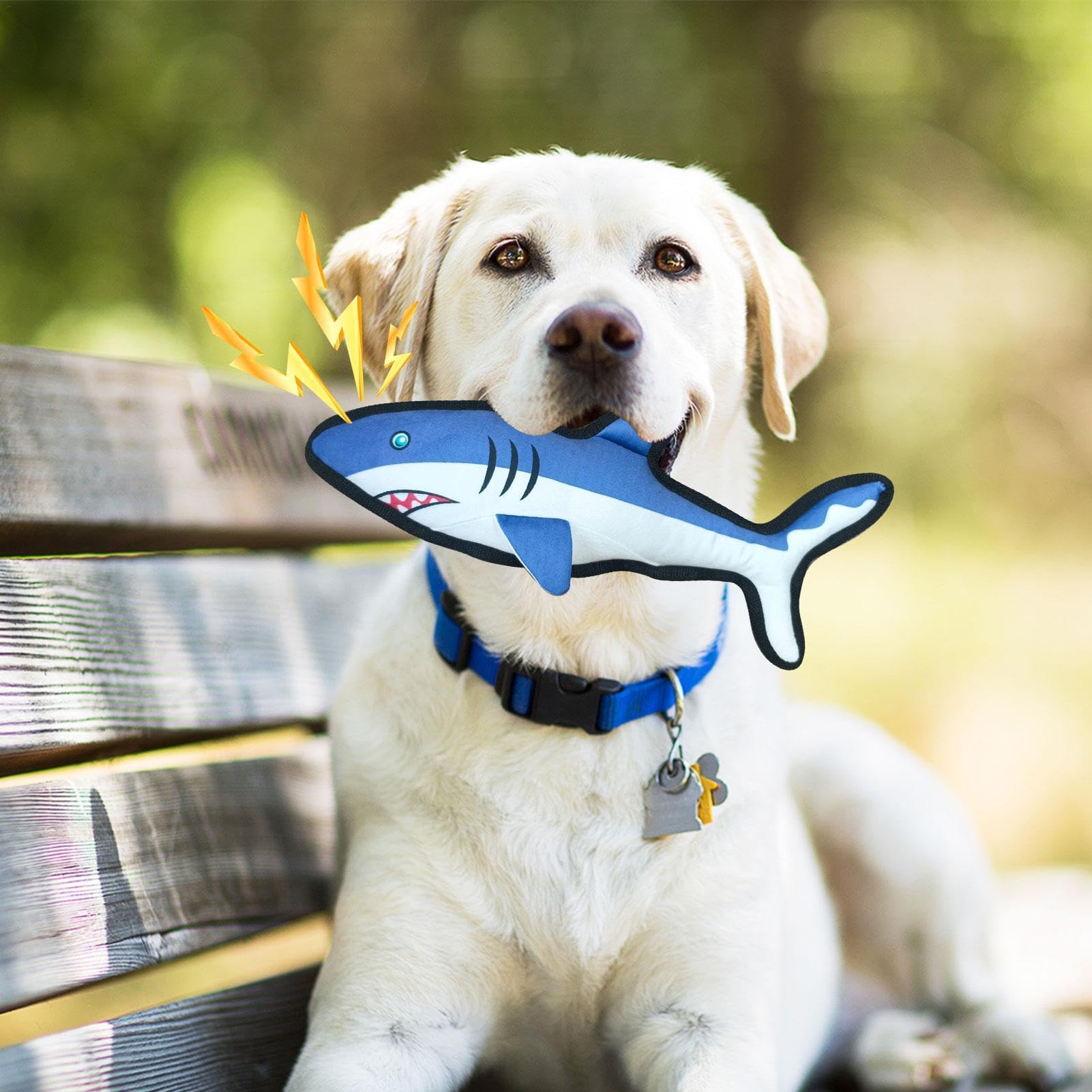 Giocattolo per cani con squittio, giocattolo per la pulizia e l'addestramento dei denti, giocattolo per la pulizia e l'addestramento dei denti a forma di squalo, giocattolo per dentizione per animali