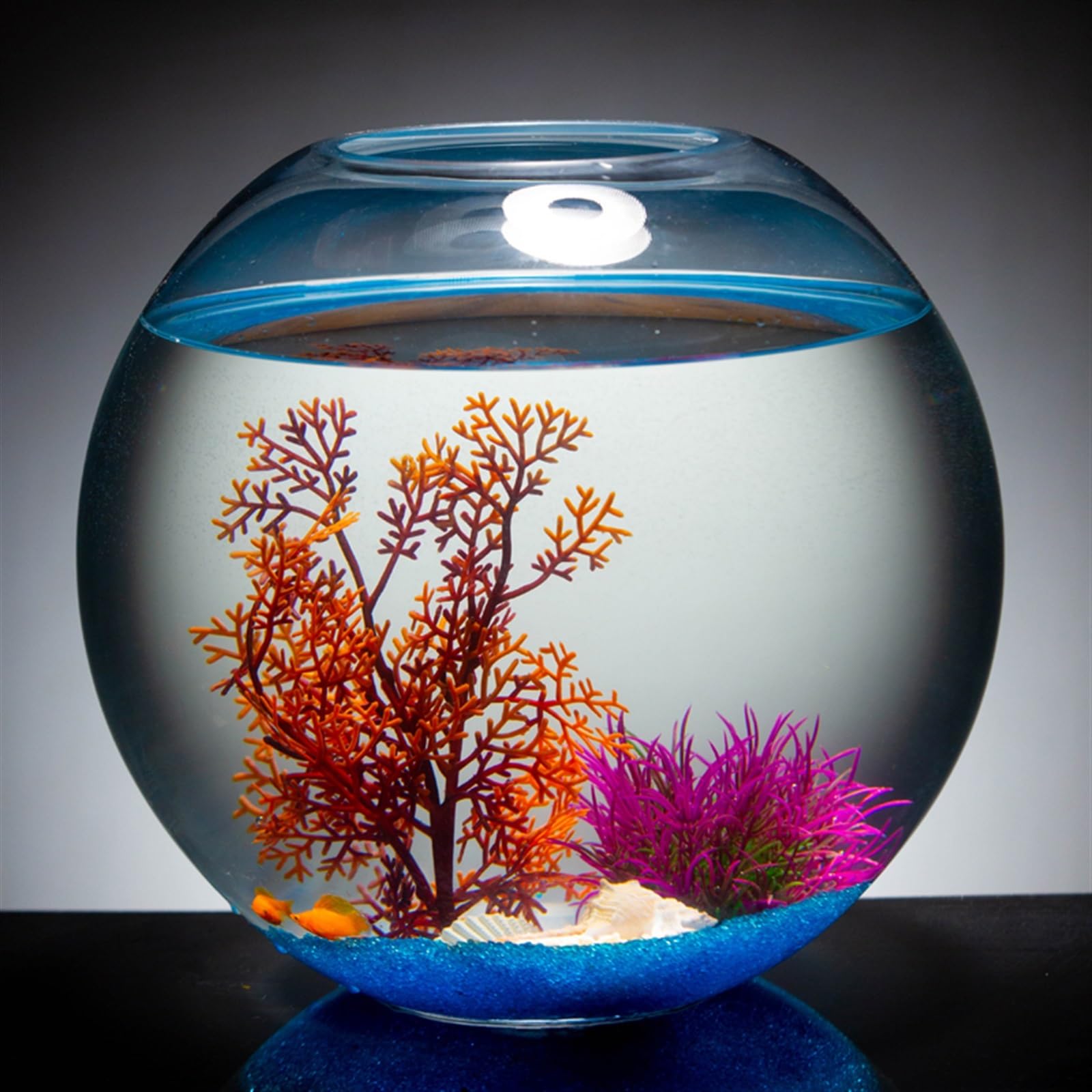 Acuario Tanque de Peces de Vidrio Transparente Engrosado, Tanque Redondo Grande for Peces, Acuario de Escritorio, Tanque de Peces for Sala de Estar, Tanque de Tortugas Peces Acuario(Grande)