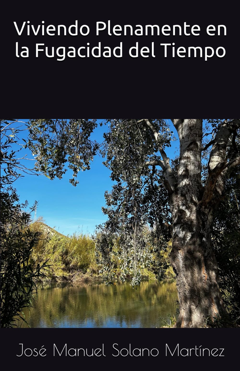 Viviendo Plenamente en la Fugacidad del Tiempo by Solano Martínez, José  Manuel - Amazon.ae