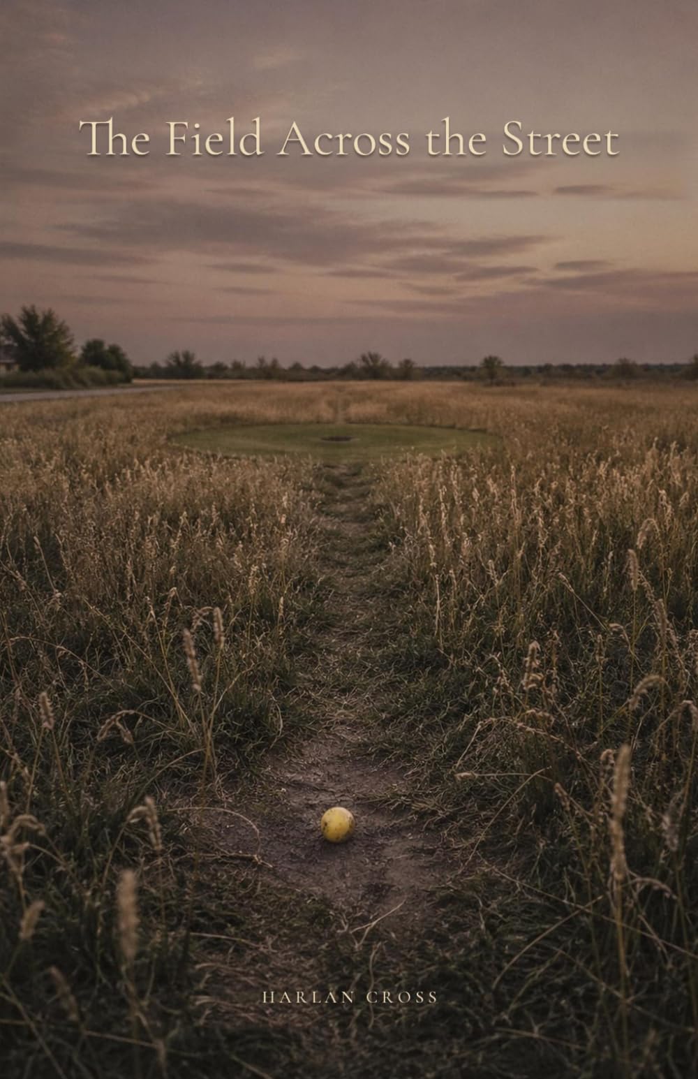 The Field Across the Street