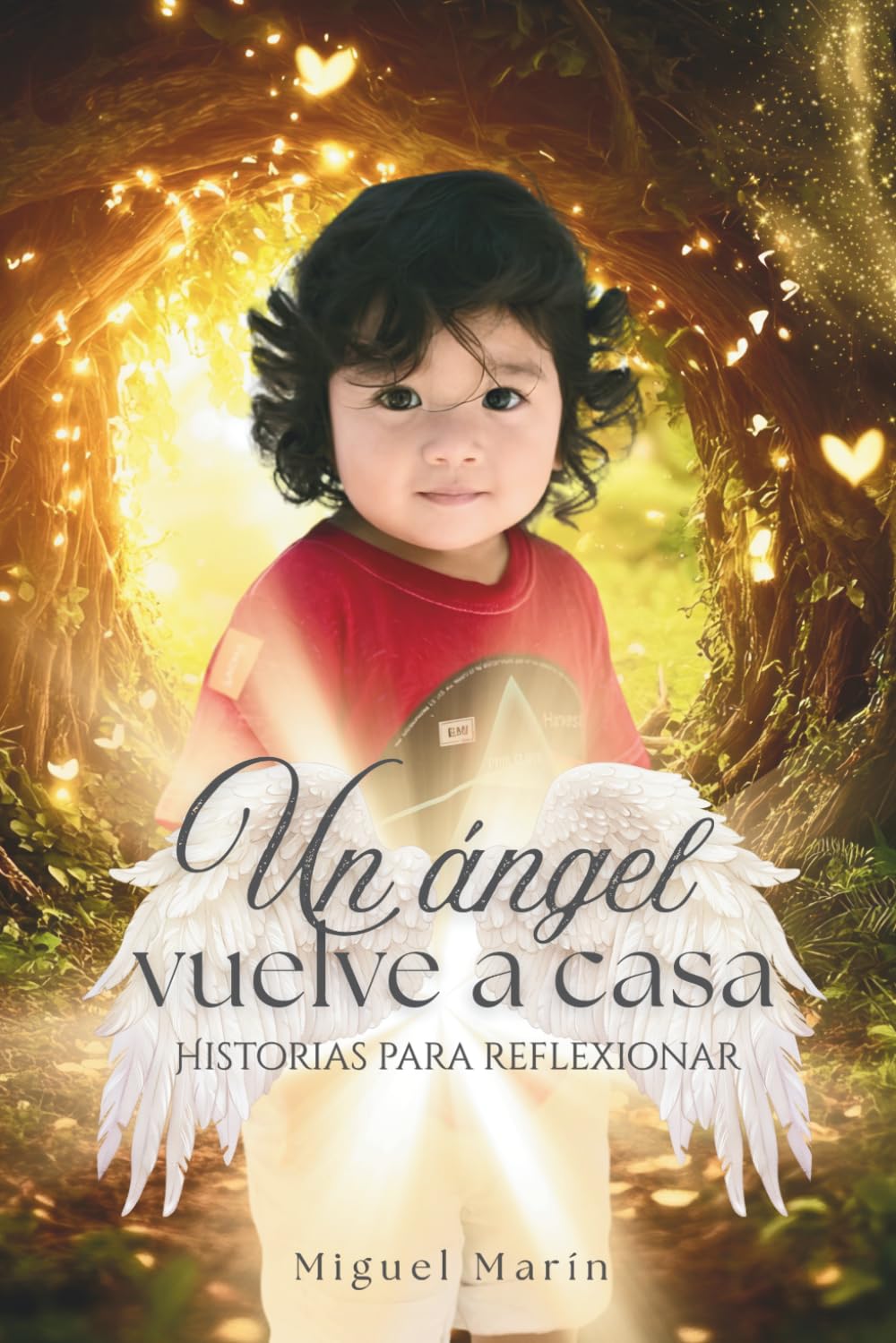 Un ángel vuelve a casa: Historias para reflexionar