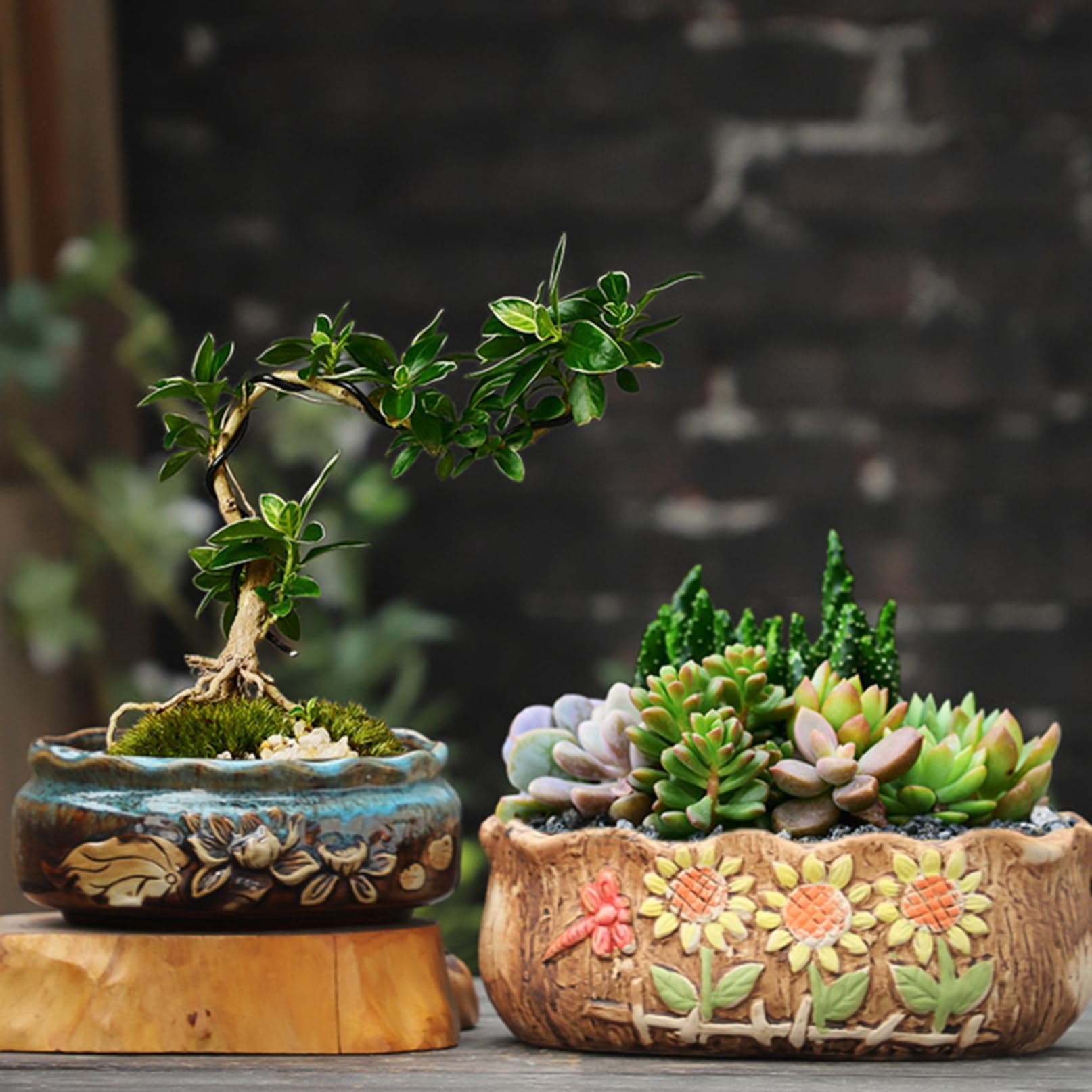 Amazon.co.jp: 多肉植物鉢 陶器鉢 サボテン鉢 植木鉢 盆栽鉢 観葉植物 