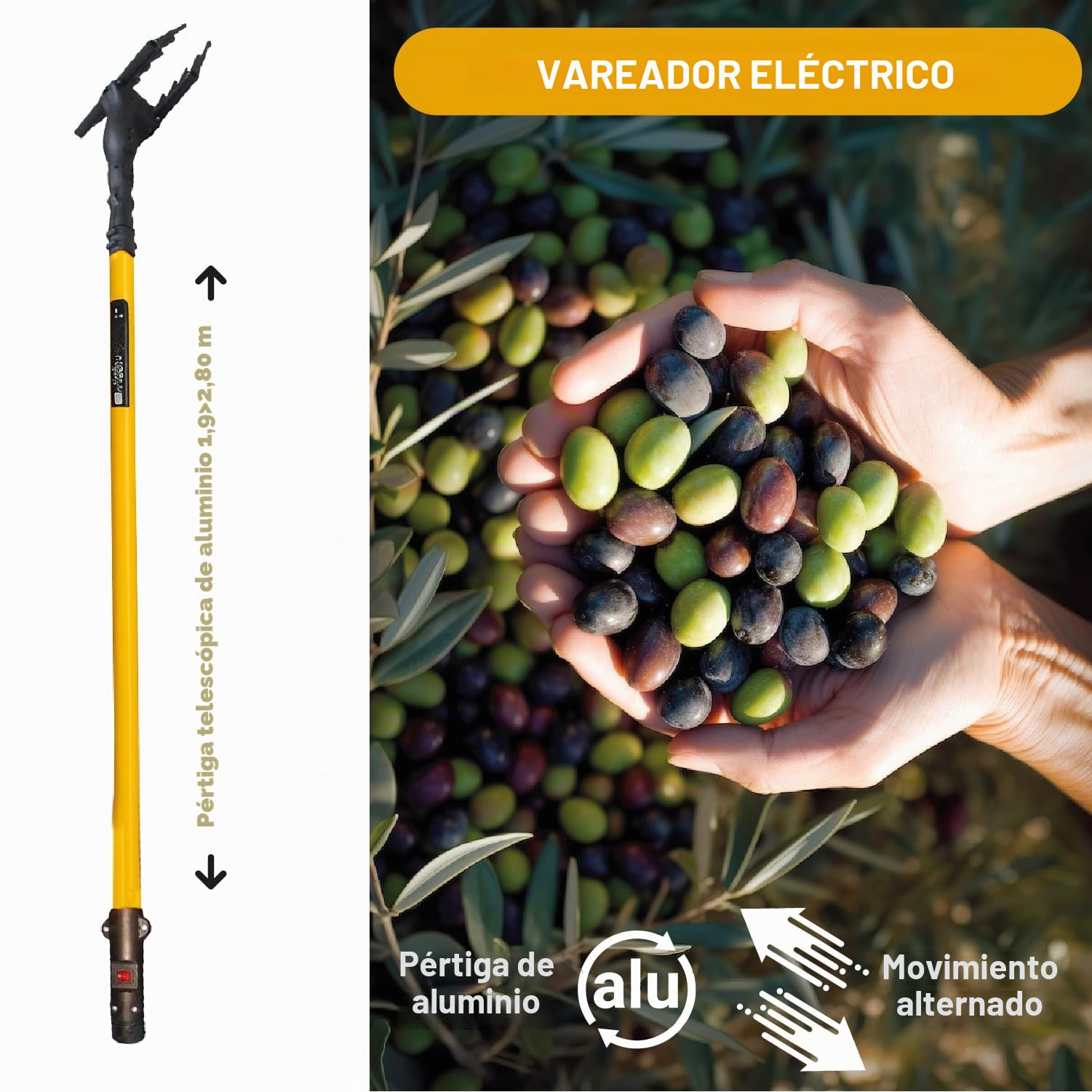 Crisalide® - Vareador para aceitunas, recoge aceitunas profesional con peines de tecnopolímero - Alta productividad y delicadeza sobre las plantas, barra telescópica y cable de 15 m, tensión 12 V