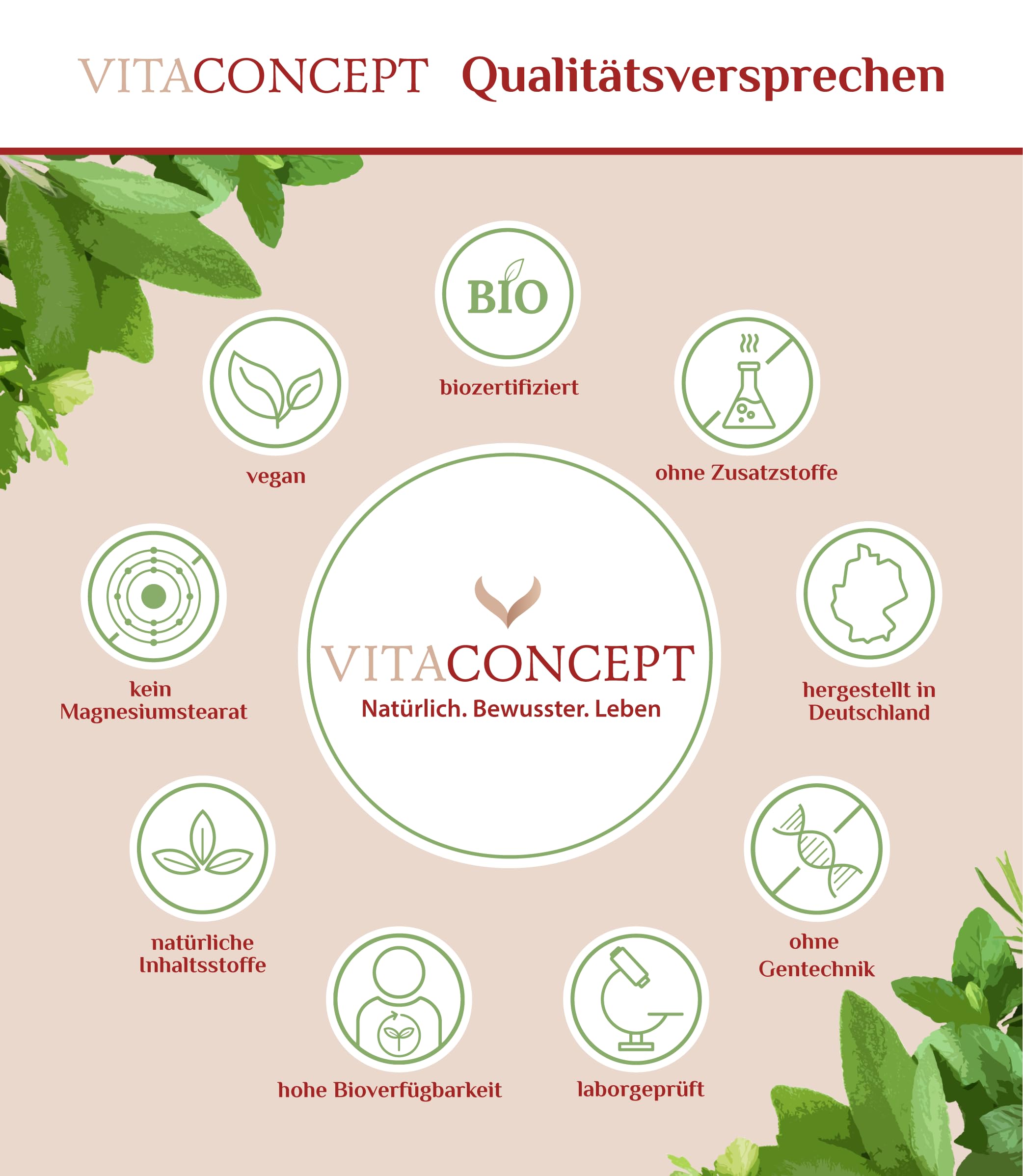 Vitaconcept | MSM Tabletten | 2000 mg MSM pro Tagesdosis | 365 hochdosierte organische Schwefel-Tabletten | laborgeprüft
