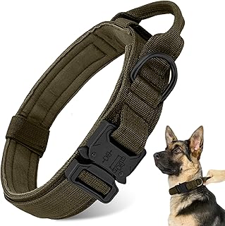 Tactical Military Dog Collar - Adjustable Heavy Duty Metal Buckle Nylon Collar with Control Handle for Small to Large Dogs (Green, L)