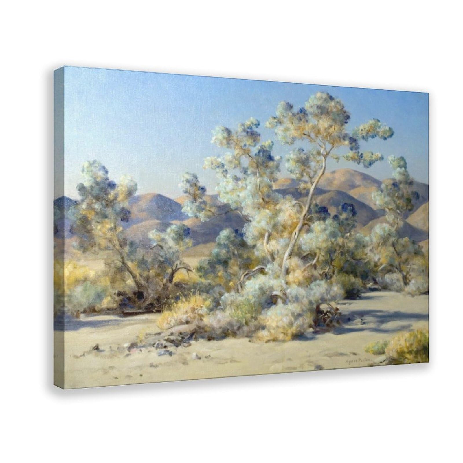 WCYB Smoketree by Agnes Pelton - Mystical Botanical, Symbolist Plant Scene, Ethereal Wall Prints Posters Canvas Deco Paintings Wall Art For Office Hangable