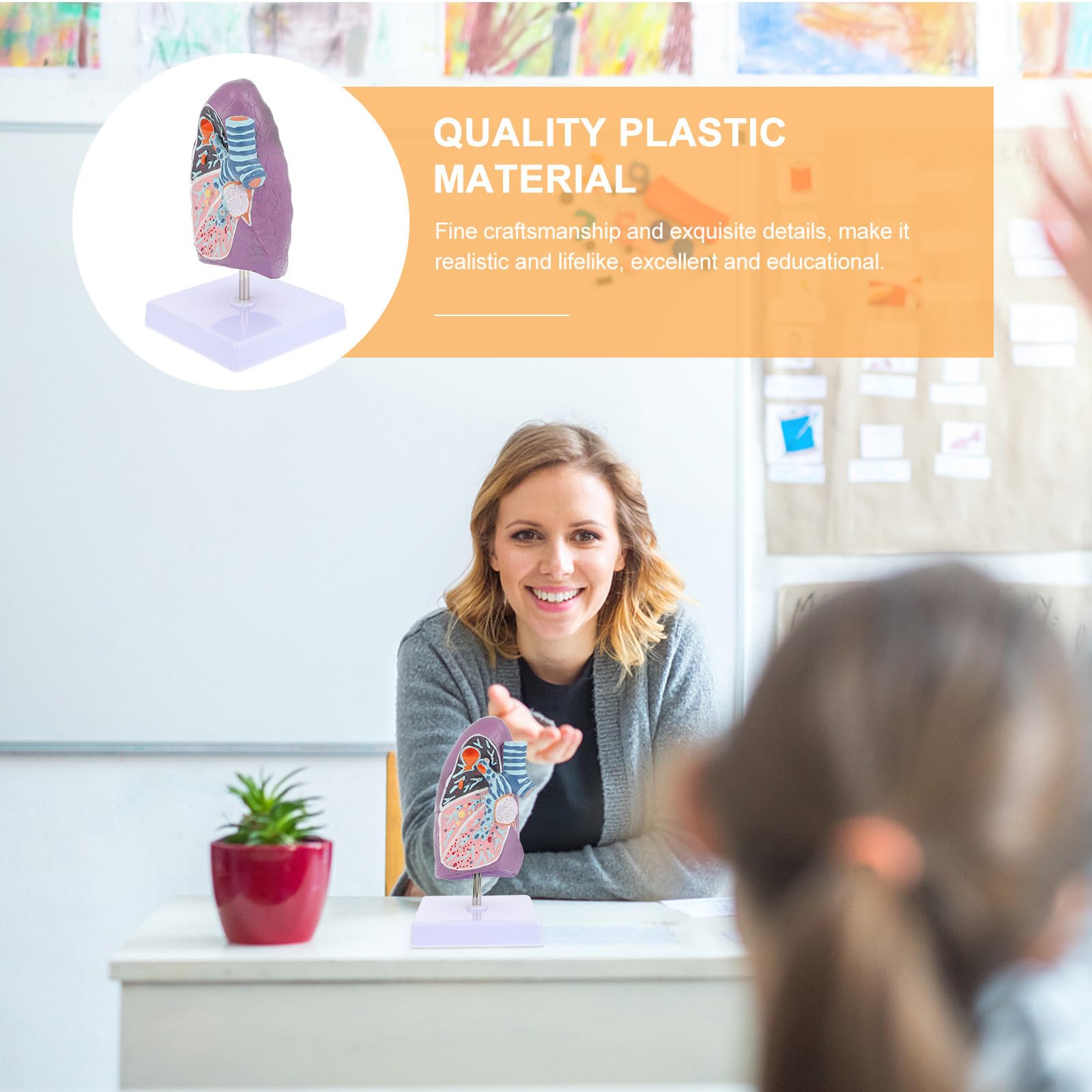 BETOOKY Modèle pour Compréhension Réaliste Anatomique Pulmonaire en Plastique Outil Éducatif pour Enseignement de Physiologie et Destiné aux Étudiants